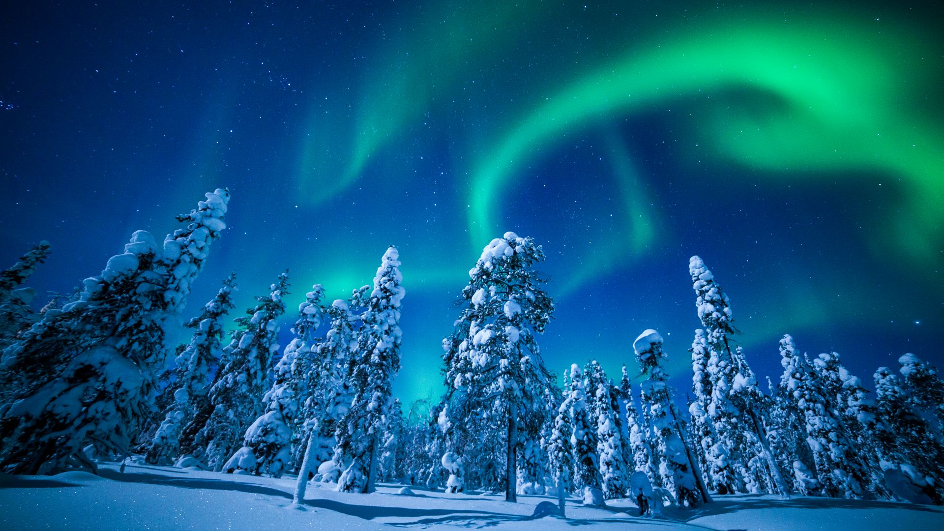 Лапландия, Финляндия, зима, северное сияние, Lapland, Finland, winter, snow, tree, night, northern lights, 5k (horizontal)