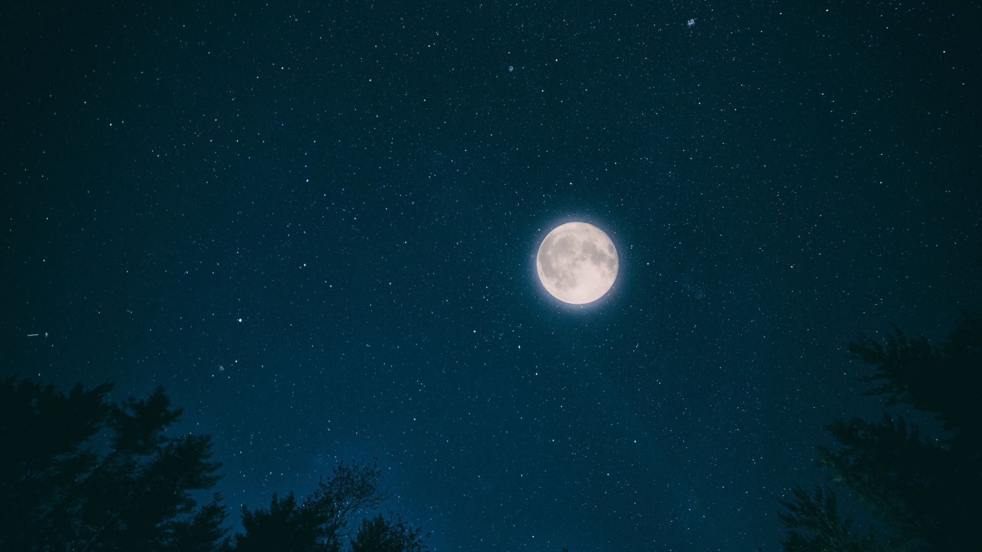 луна, звезды, night, sky, moon, stars, forest, 4k (horizontal)