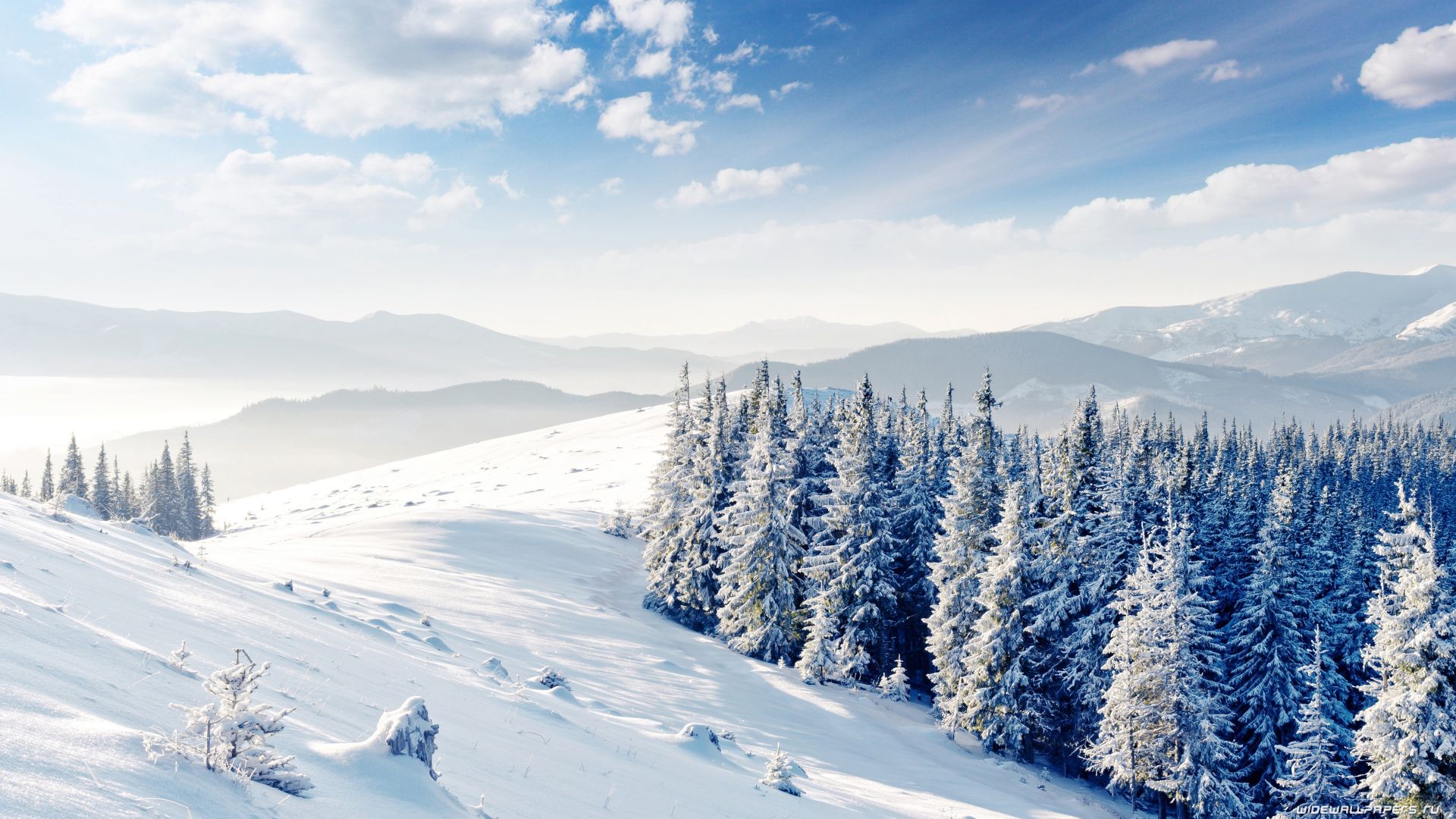 деревья, снег, mountains, forest, trees, snow, winter, 4k (horizontal)