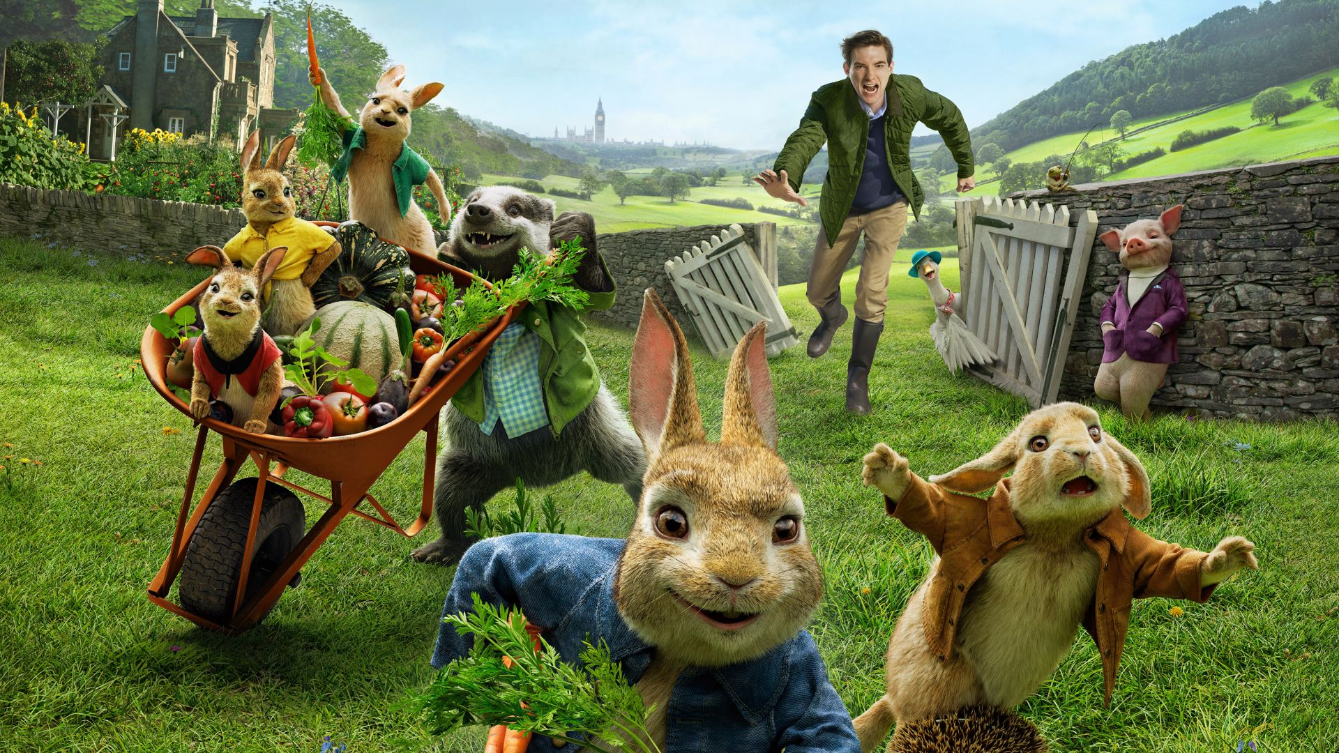 Кролик Питер, Peter Rabbit, Domhnall Gleeson, 4k (horizontal)