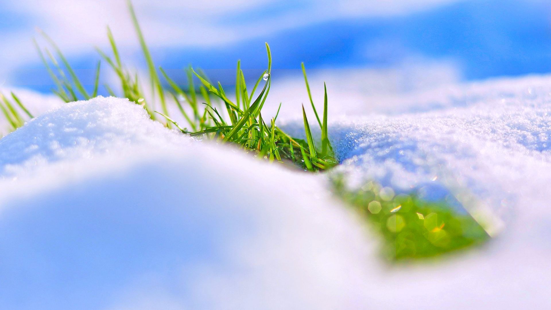 снег, snow, winter, grass, 4k (horizontal)
