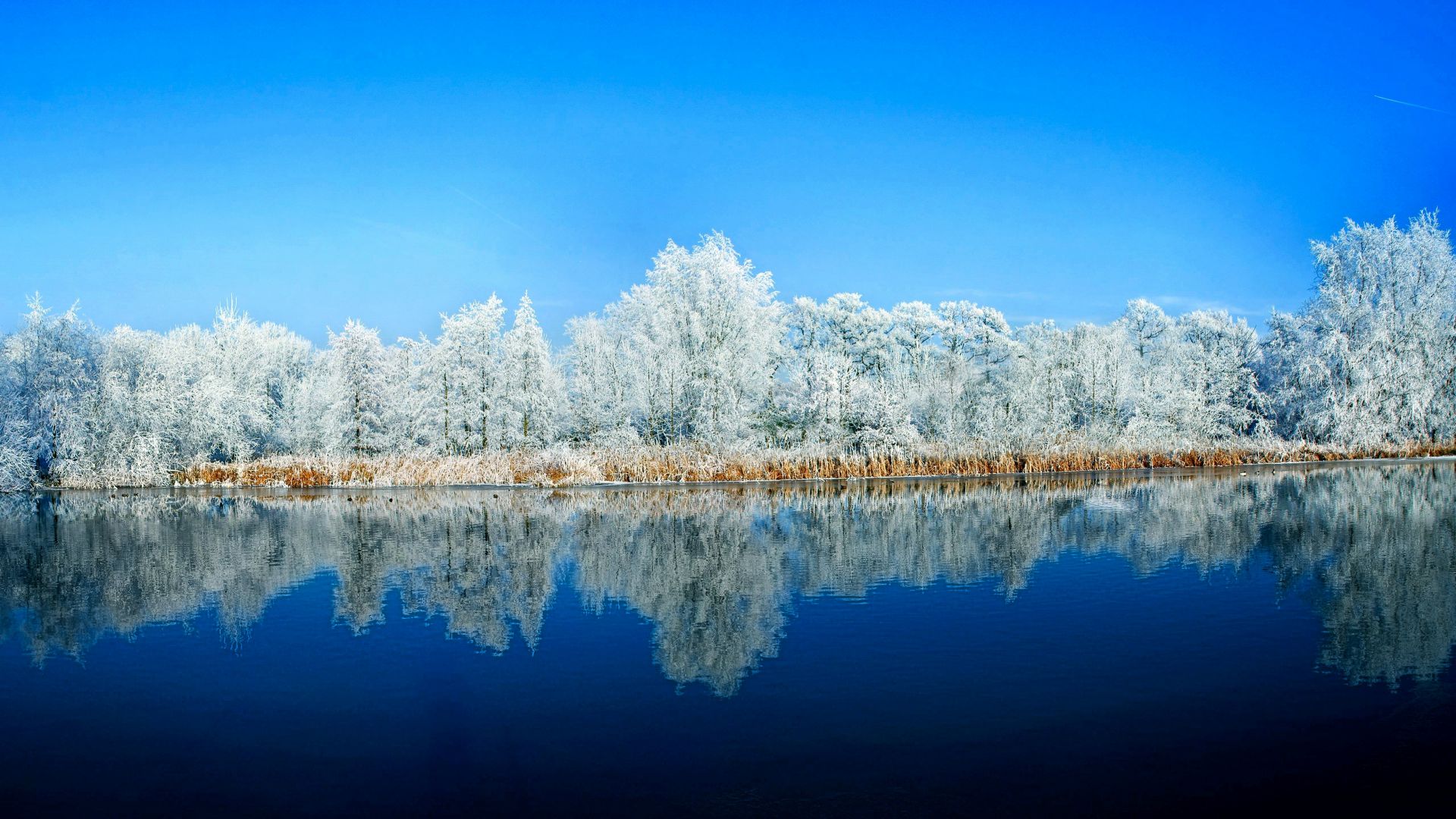 озеро, зима, lake, forest, snow, winter, 5k (horizontal)