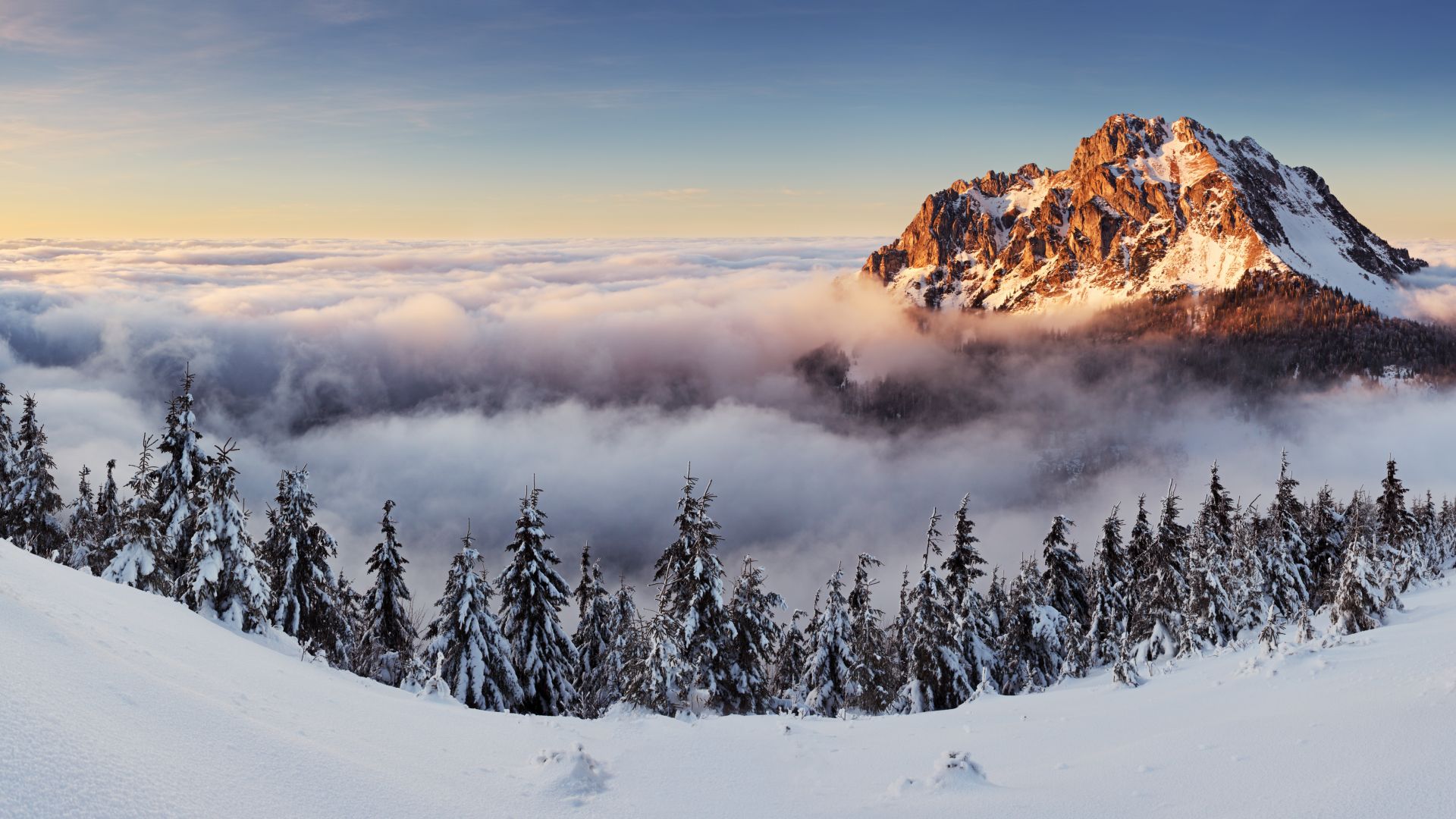 горы, зима, mountains, forest, snow, winter, fog, 8k (horizontal)
