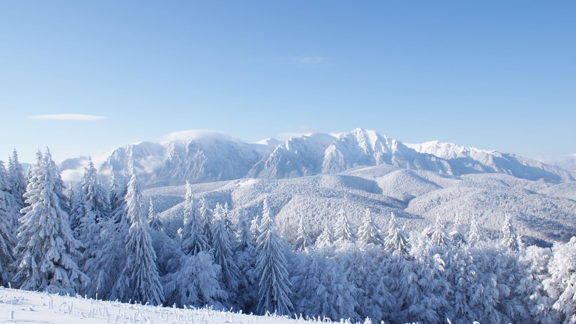 горы, зима, mountains, forest, trees, snow, winter, 4k (horizontal)