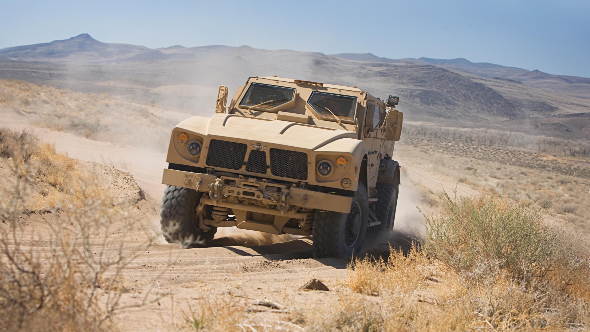 бронеавтомобиль, БРДМ, США, M-ATV, Oshkosh, MRAP, TerraMax, infantry mobility vehicle, field, desert (horizontal)