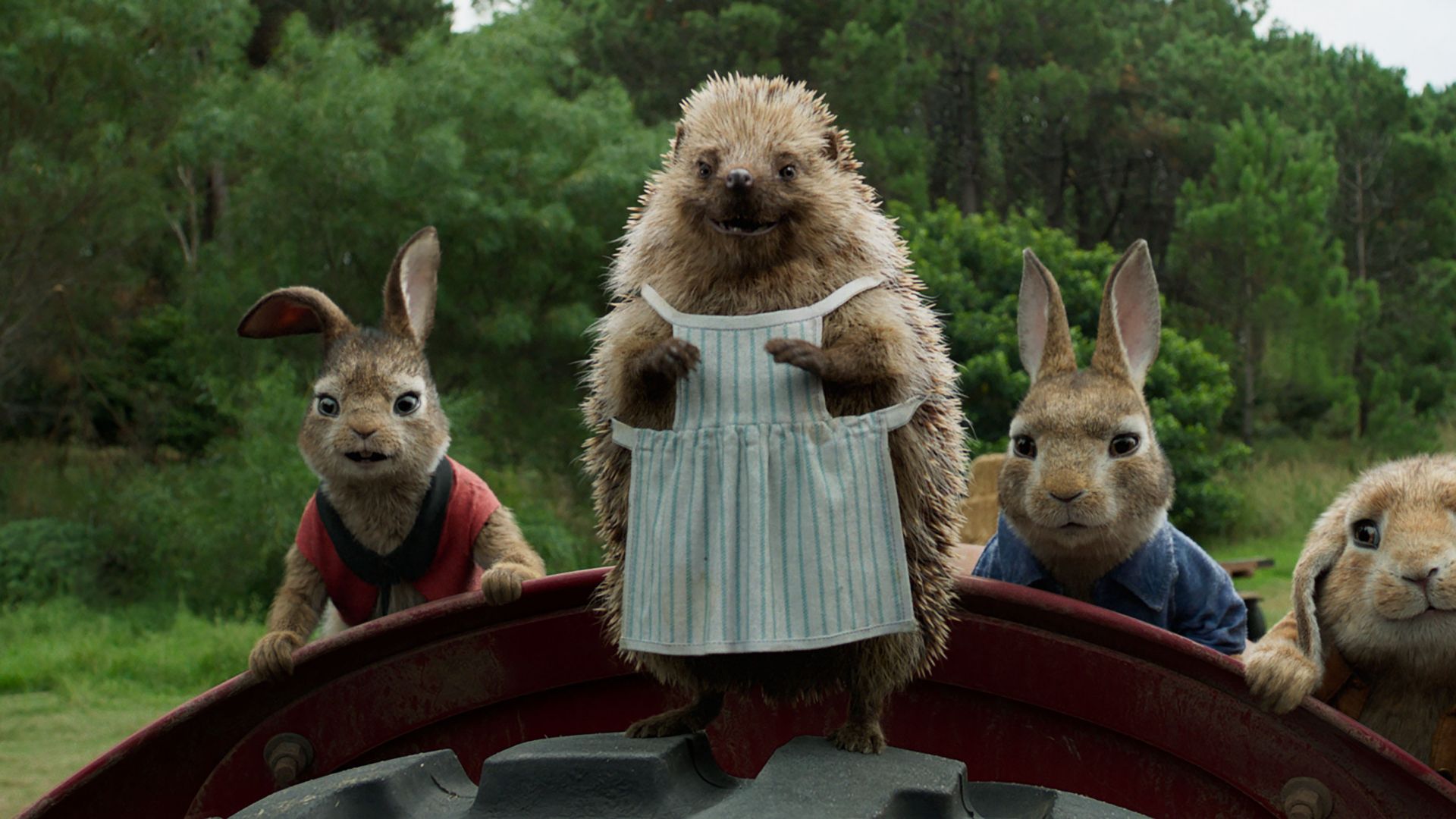 Кролик Питер, Peter Rabbit, hedgehog, 4k (horizontal)
