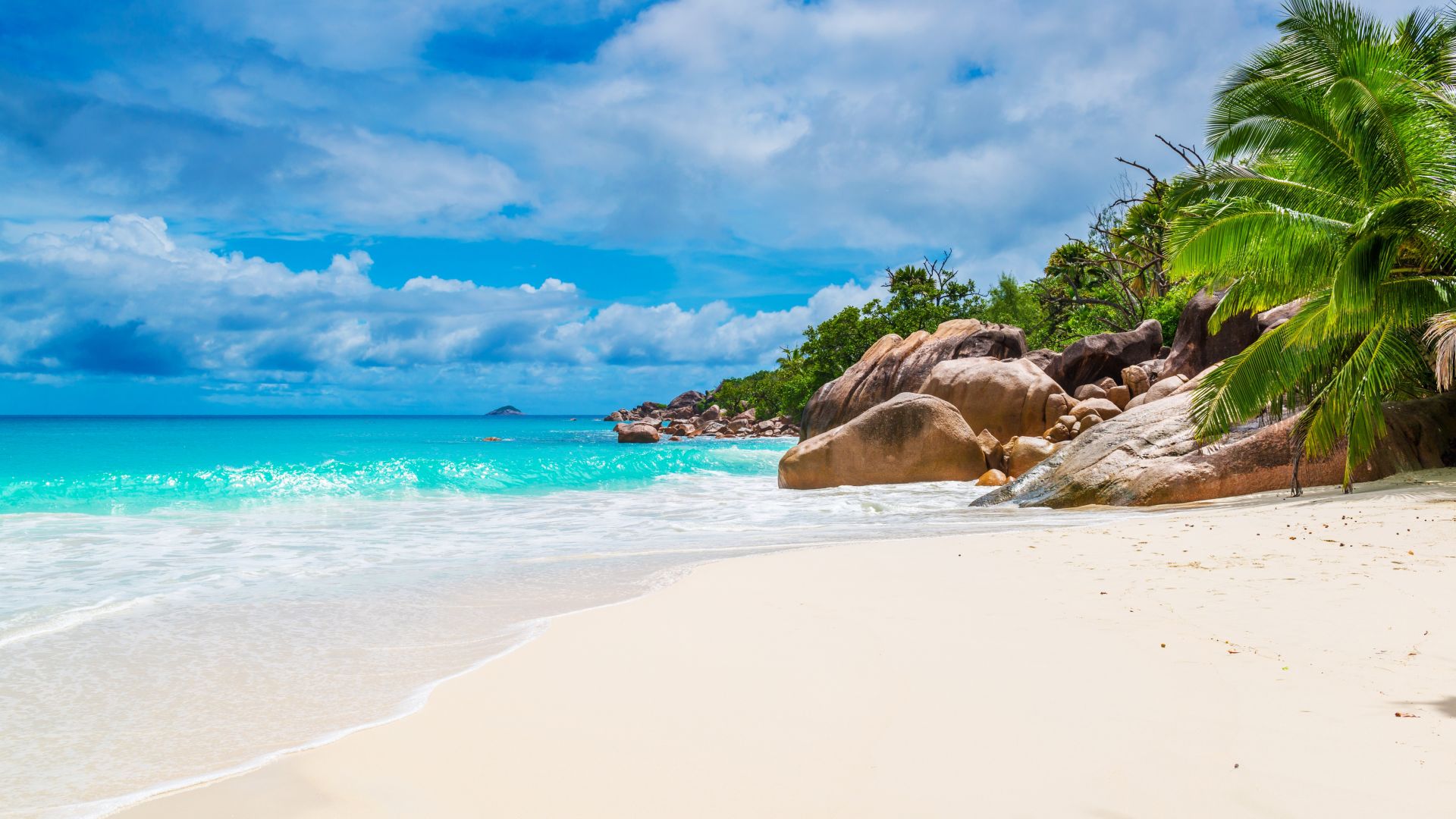 пляж, Maldives, Seychelles, beach, ocean, coast, palm, sky, 5k (horizontal)