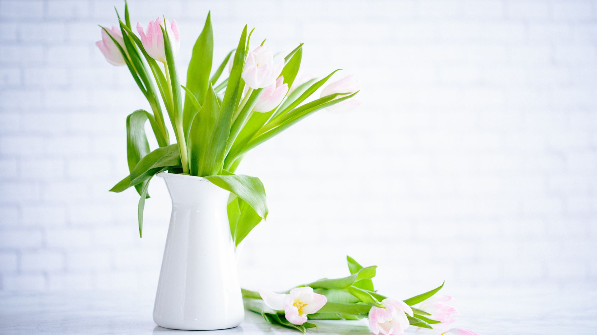 цветы, flowers, tulips, vase, 5k (horizontal)