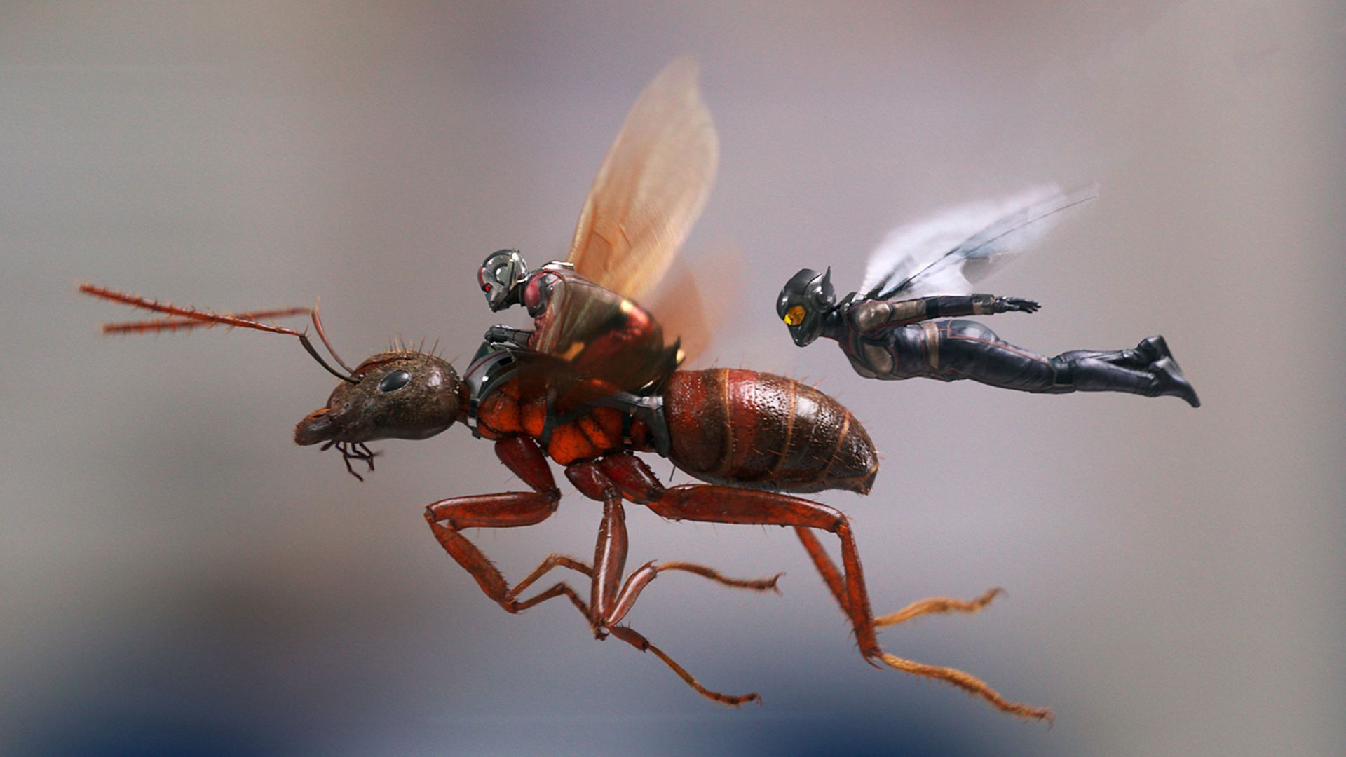 Человек-Муравей и Оса, Ant-Man and the Wasp, 4k (horizontal)
