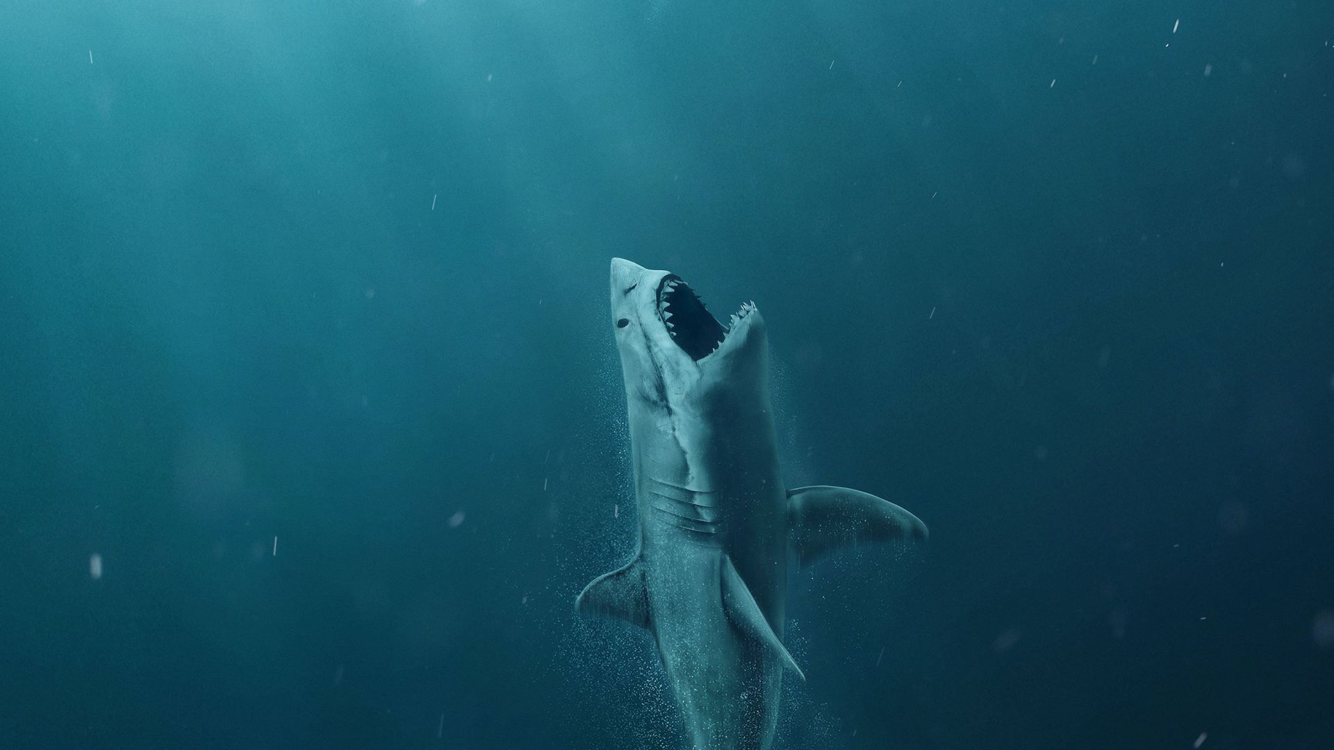 Мег: Монстр глубины, The Meg, shark, 4k (horizontal)