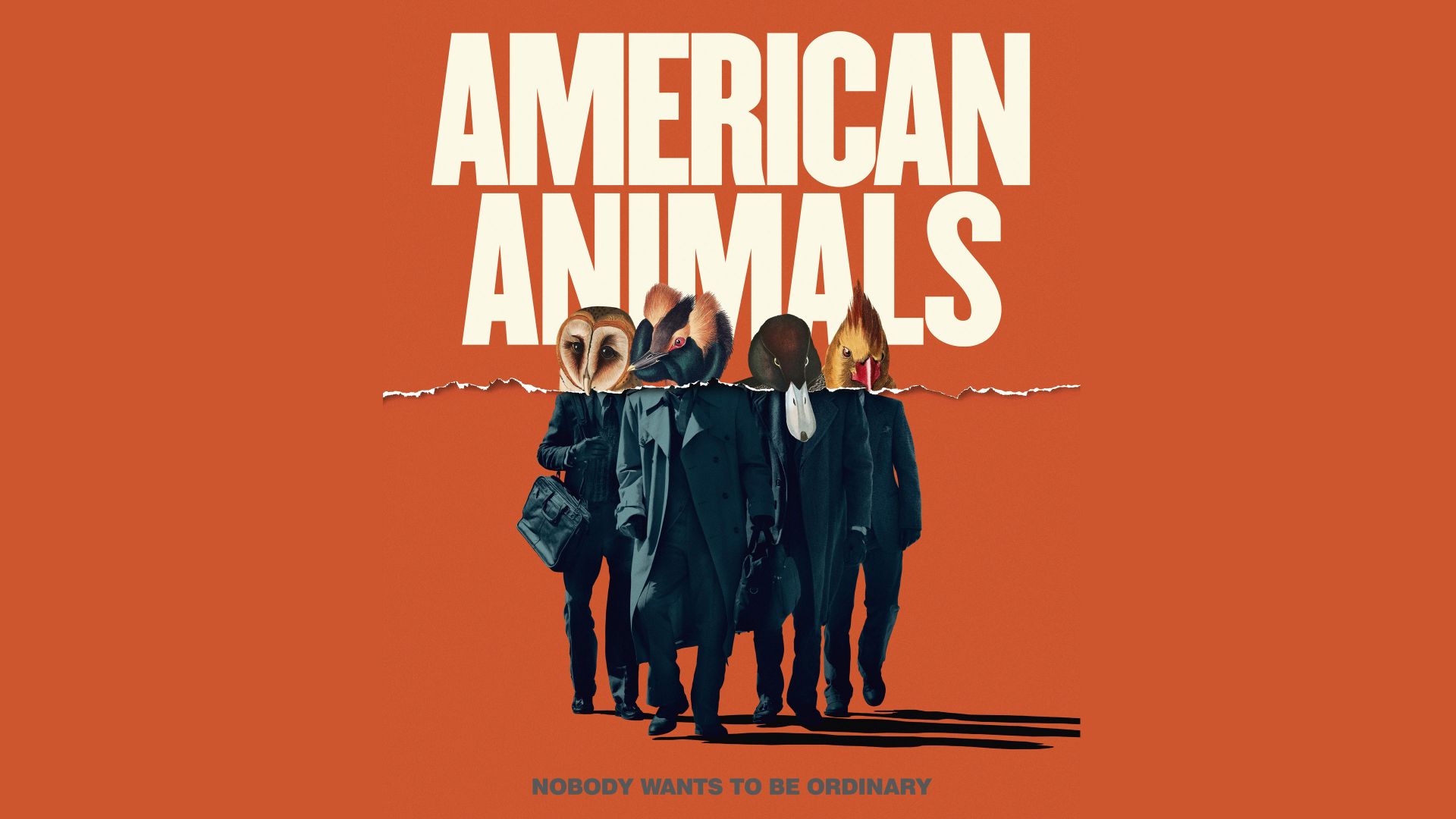 Американские Животные, American Animals, Ann Dowd, Evan Peters, Barry Keoghan, 4K (horizontal)
