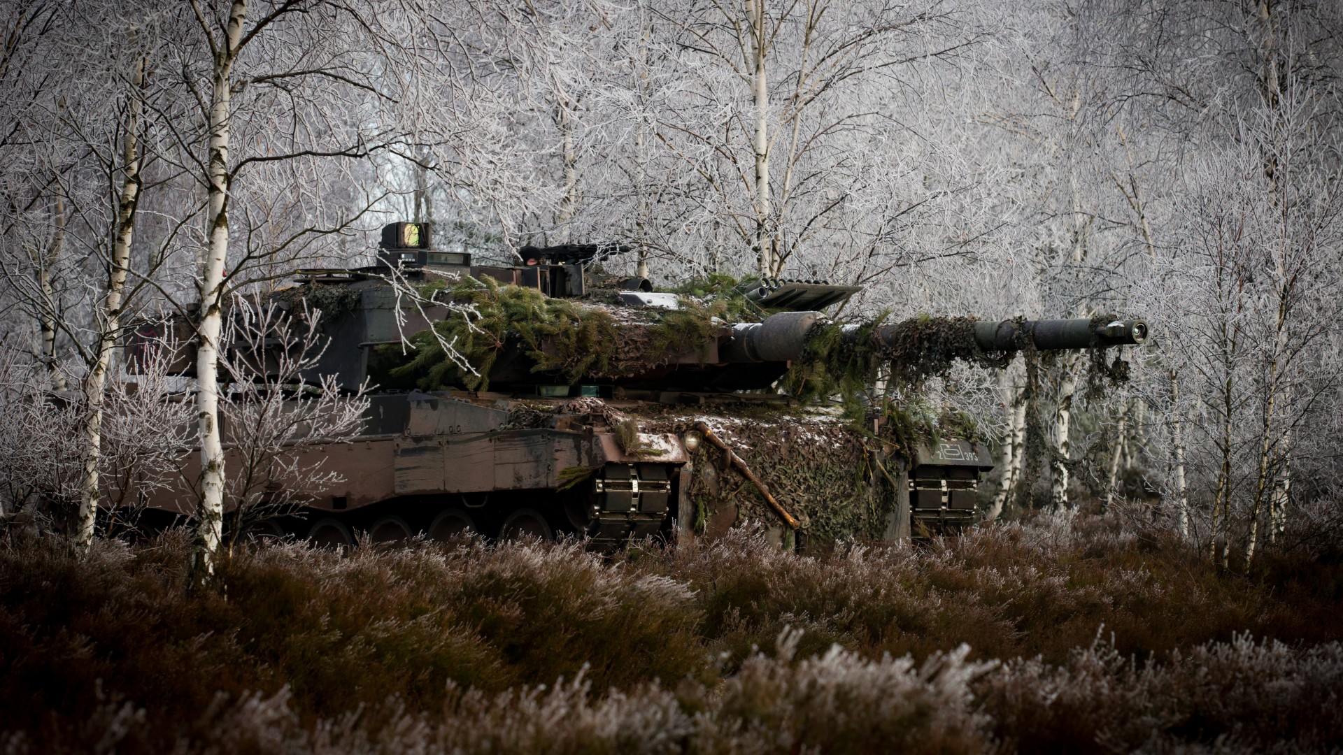 Леопард 2, танк, ОБТ, камуфляж, лес, Leopard 2, 2a6m, Can, MBT, tank, German, forest, Bundeswehr, camo, winter (horizontal)