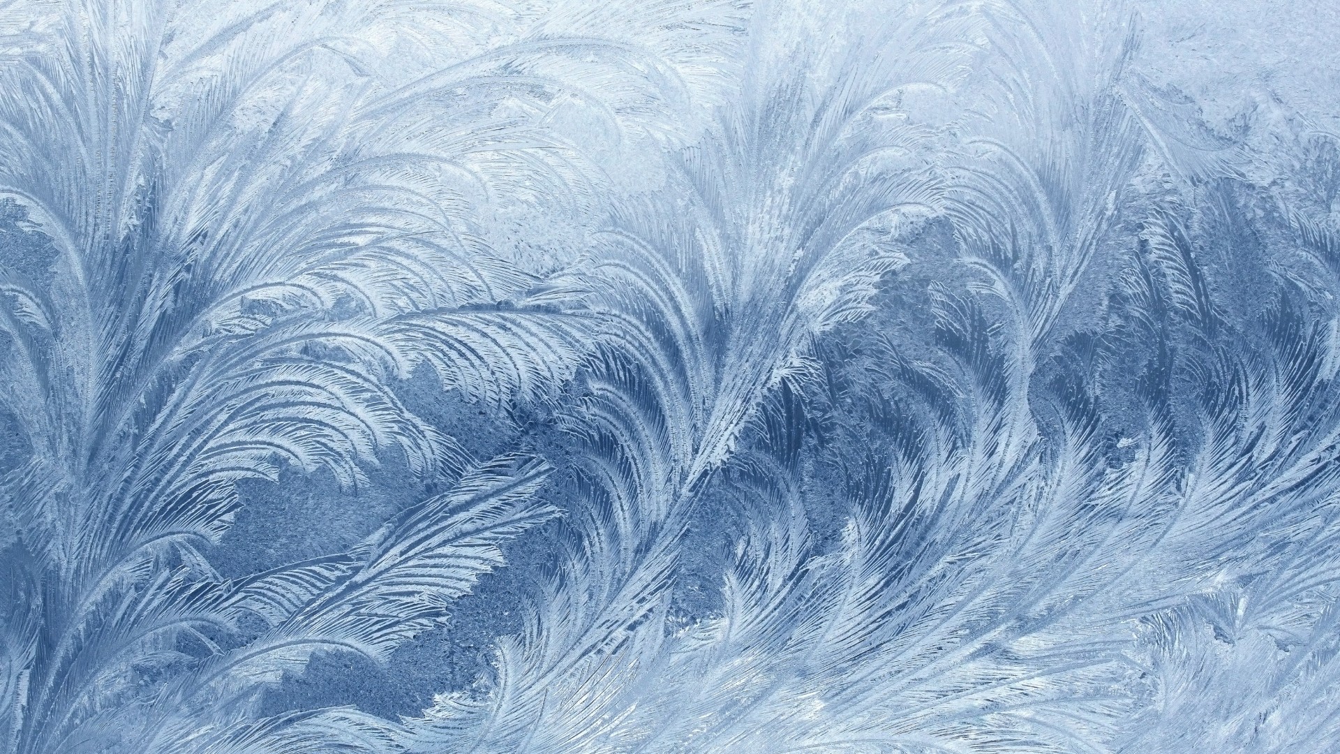 мороз, 4k, 5k, узор, frozen, 4k, 5k wallpaper, pattern, glass, snow, winter (horizontal)