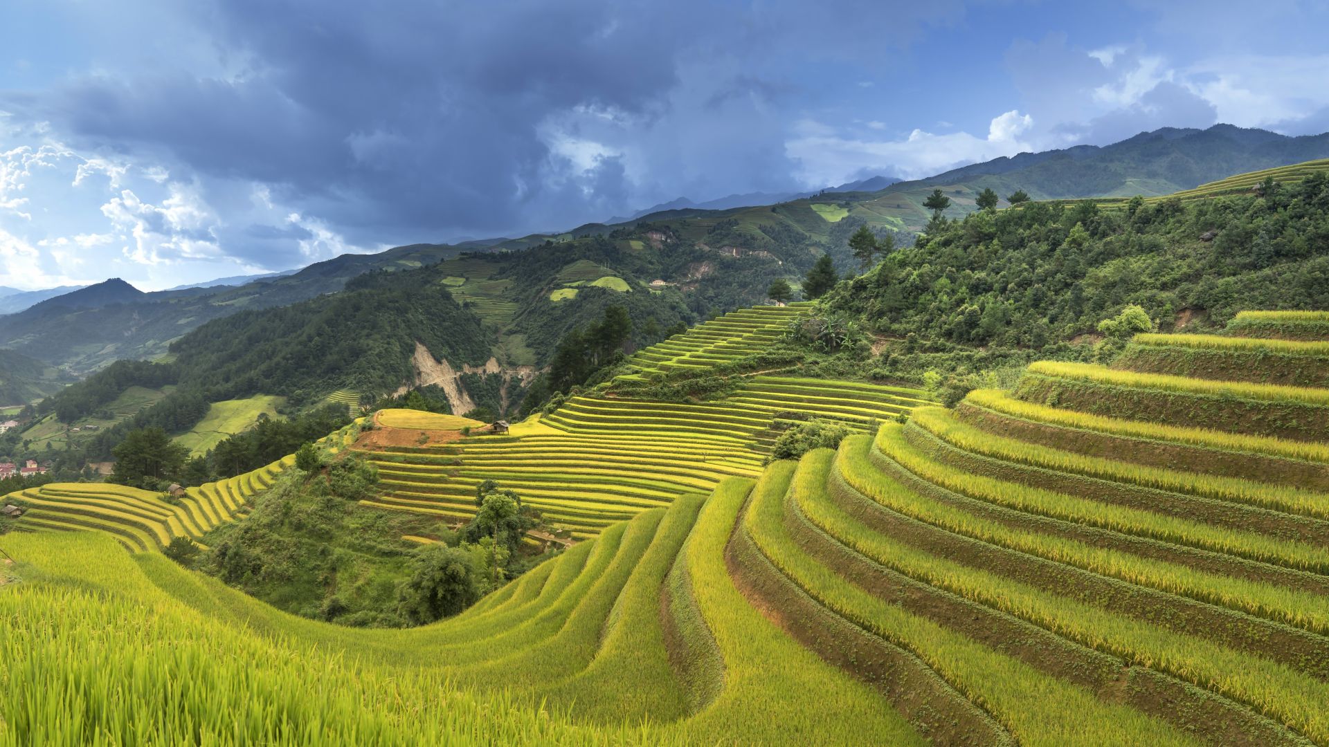 Рисовые террасы, Китай, Rice Terrace, China, 5K (horizontal)