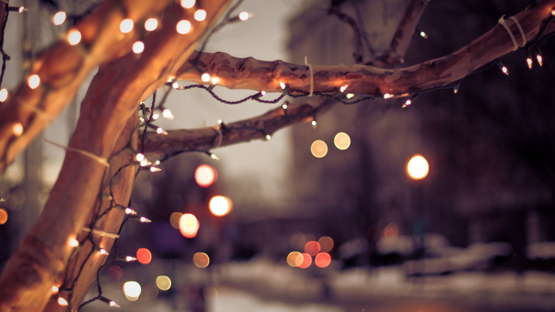 дерево, огни, зима, tree, lights, winter, 4K (horizontal)