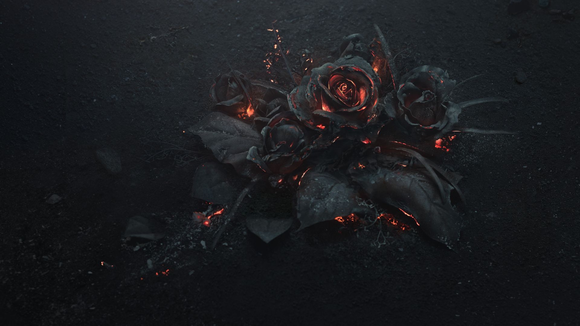 роза, rose, dark, 5K (horizontal)