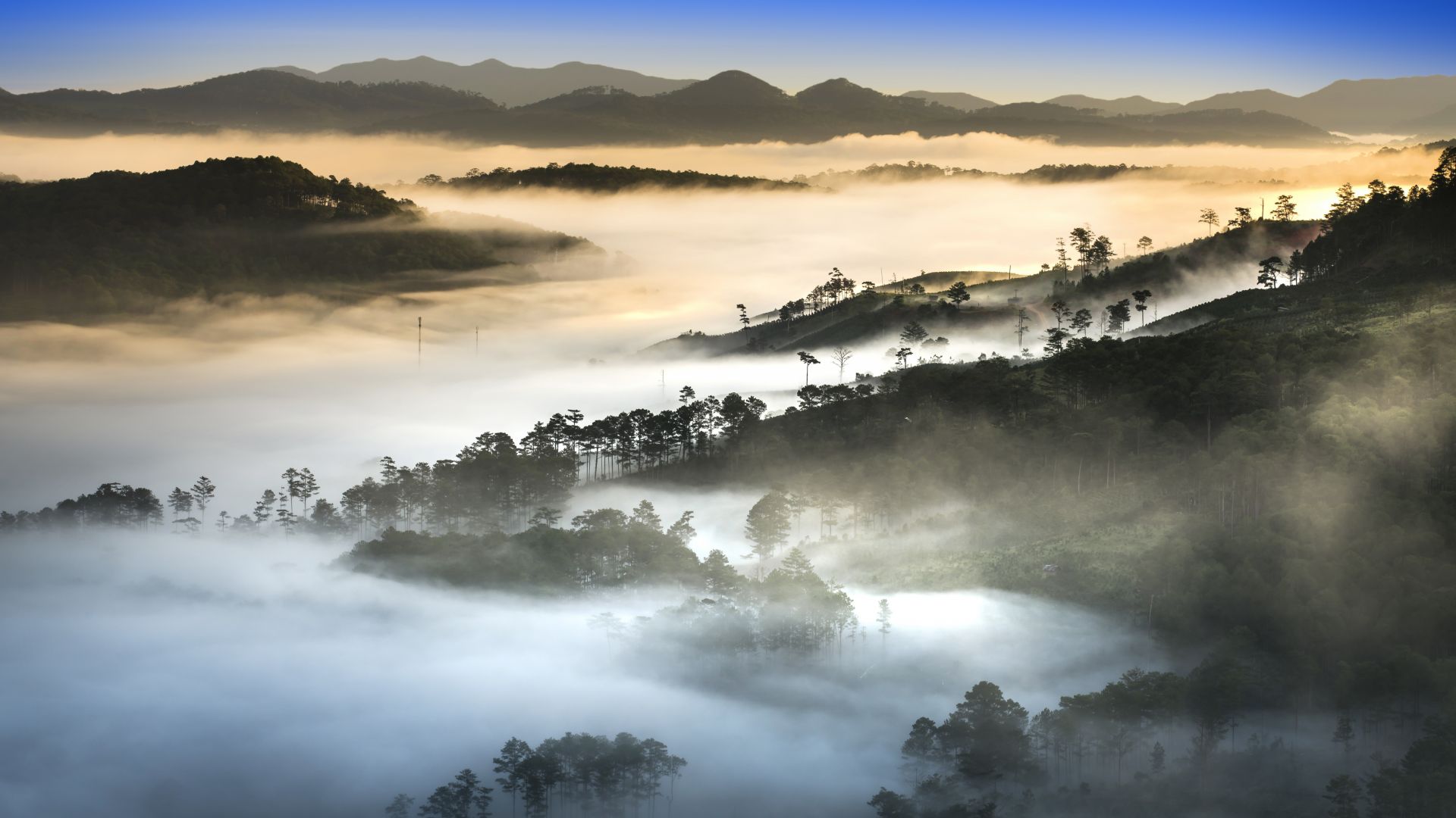 закат, туман, лес, горы, sunset, fog, forest, mountains, 8K (horizontal)