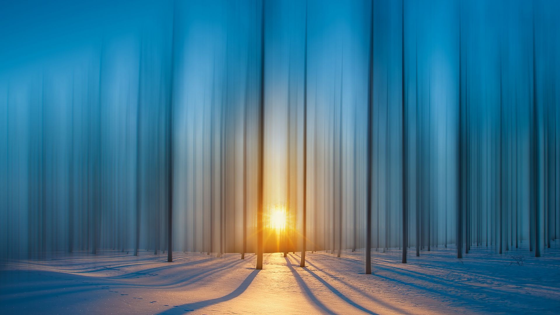 лес, снег, закат, forest, snow, sunset, HD (horizontal)