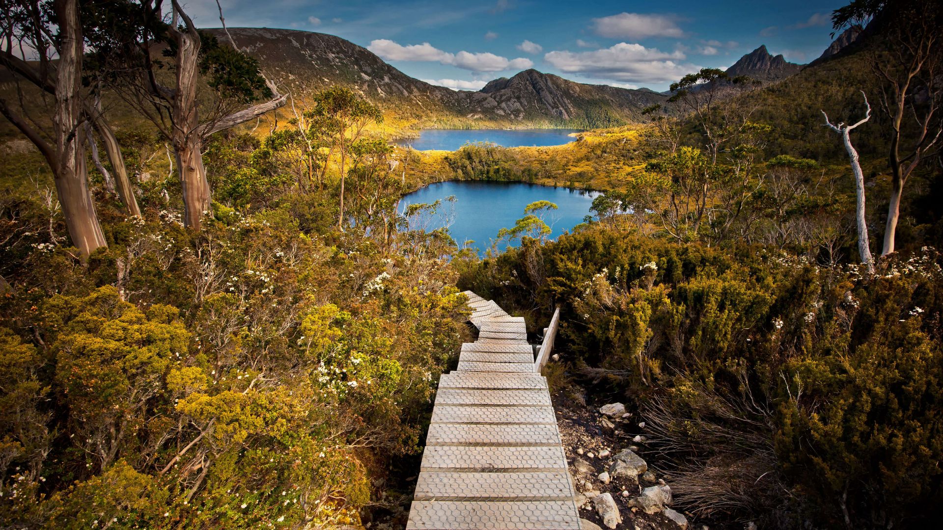 Австралия, озеро, горы, St. Clair National Park, Tasmania, Australia, lake, mountains, 4K (horizontal)