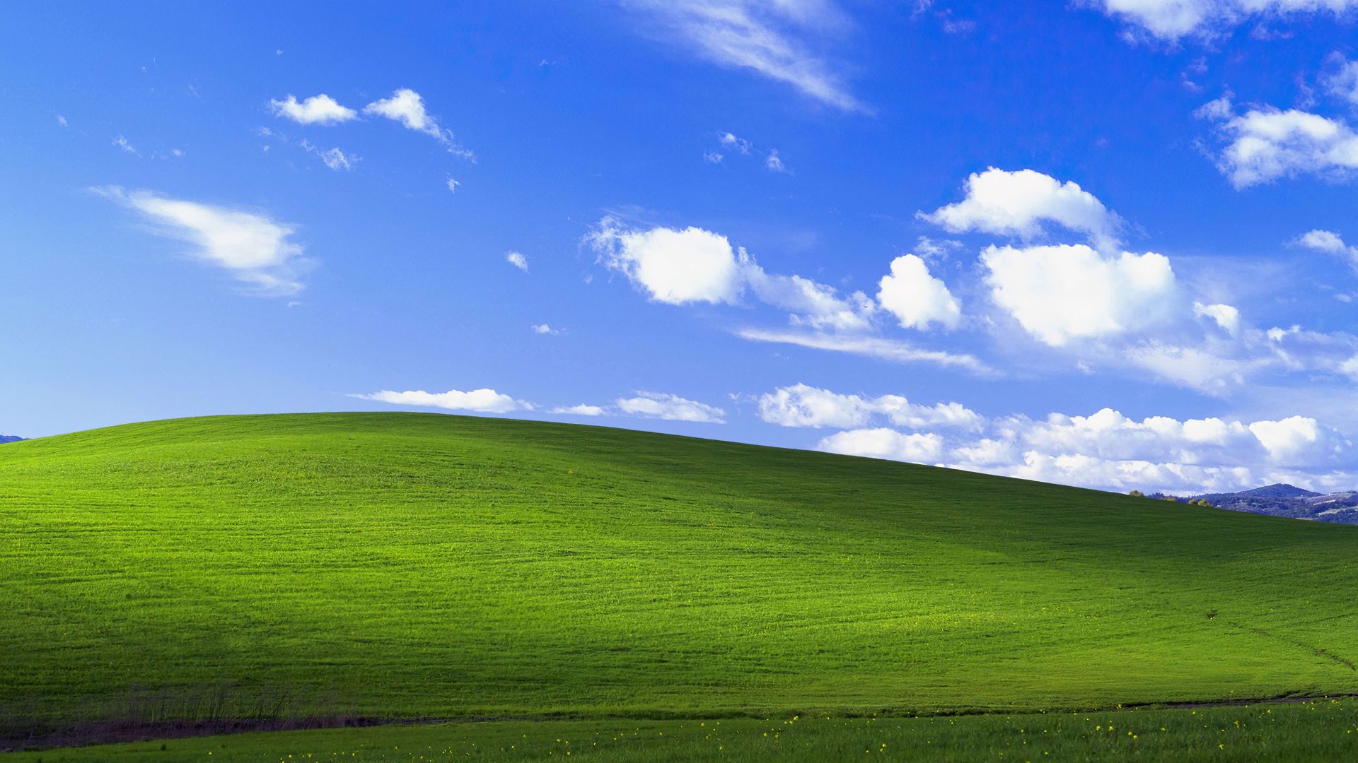 Виндовс XP, Windows XP, bliss, Microsoft, 4K (horizontal)