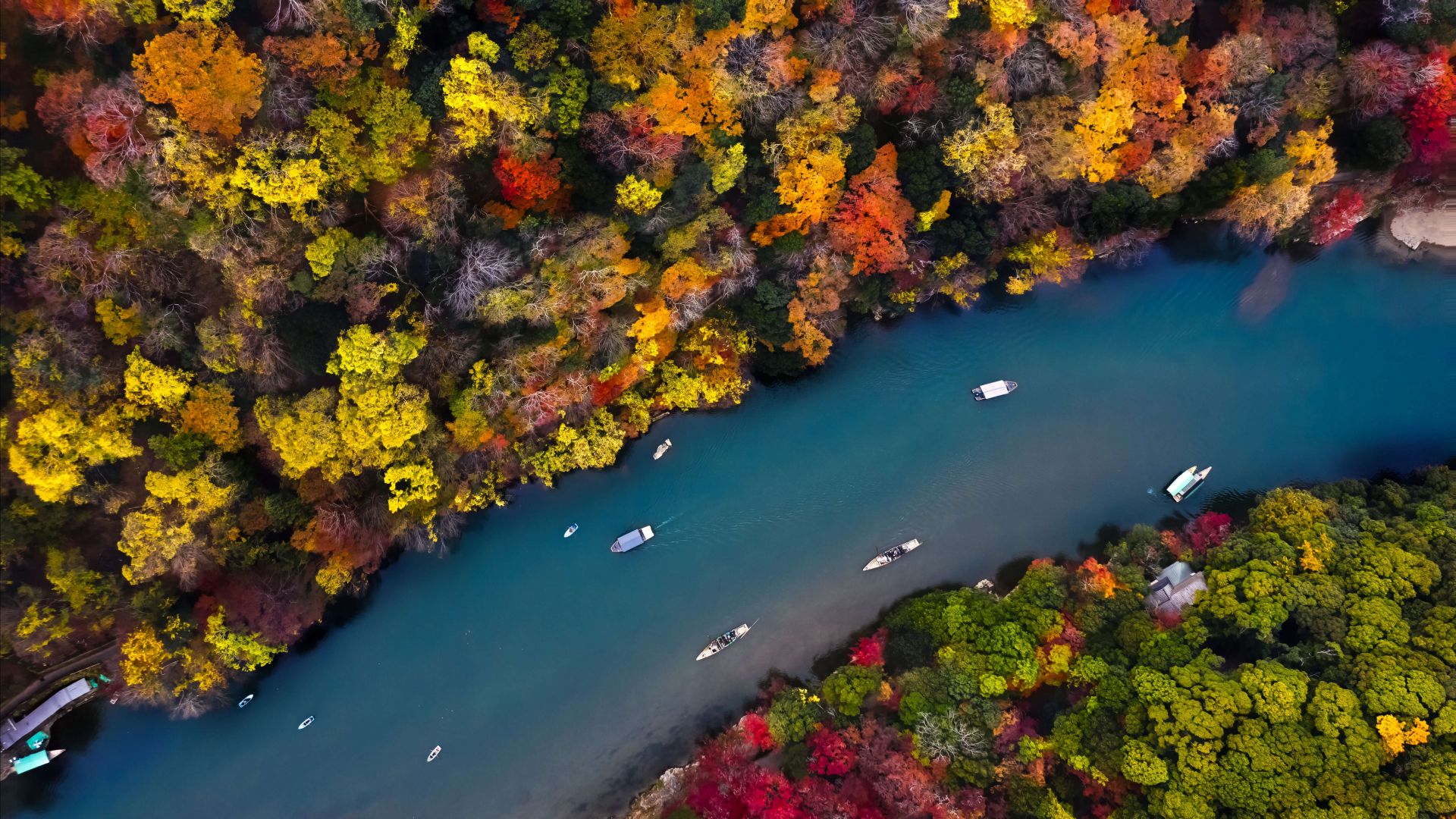 река, лес, осень, river, forest, colors, autumn, 5K (horizontal)