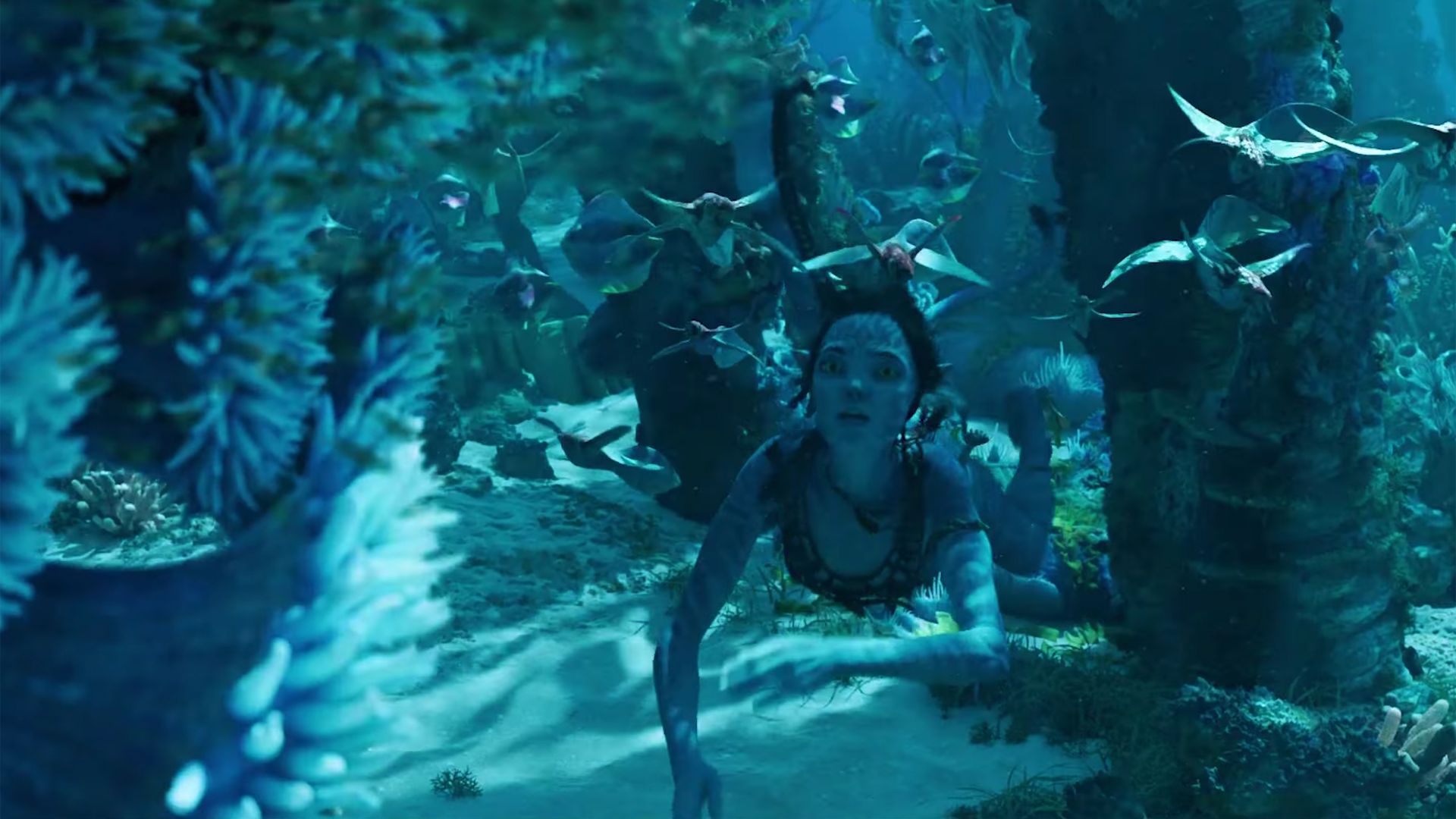 Аватар 2: Путь воды, Avatar 2 The Way of Water, 4k, trailer (horizontal)