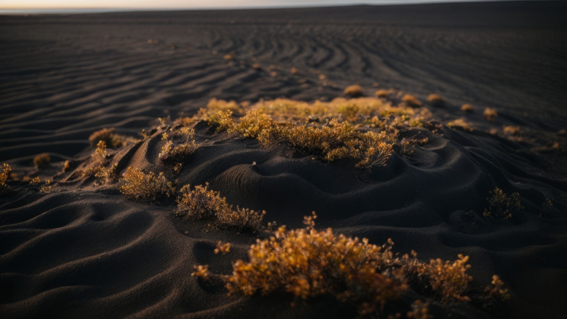 sand, desert, sunset (horizontal)