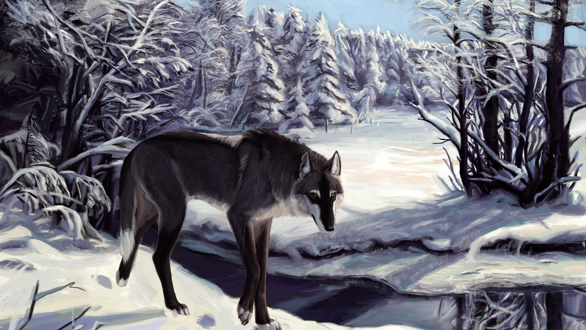 волк, зима, озеро, взгляд, серый, белый, лес, арт, иллюстрация, Wolf, winter, lake, sight, gray, white, forest, alone, art (horizontal)