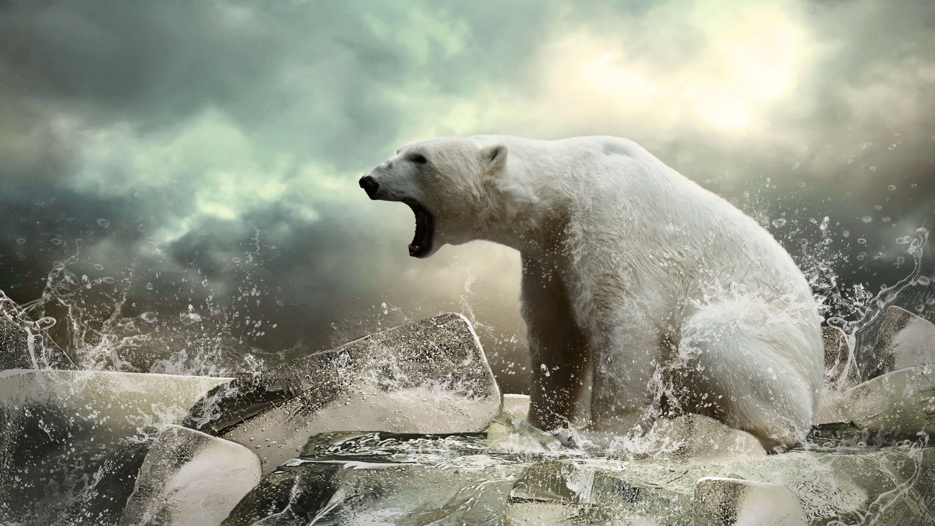Полярный медведь, лед, рев, океан, Polar bear, ice, roar, ocean (horizontal)