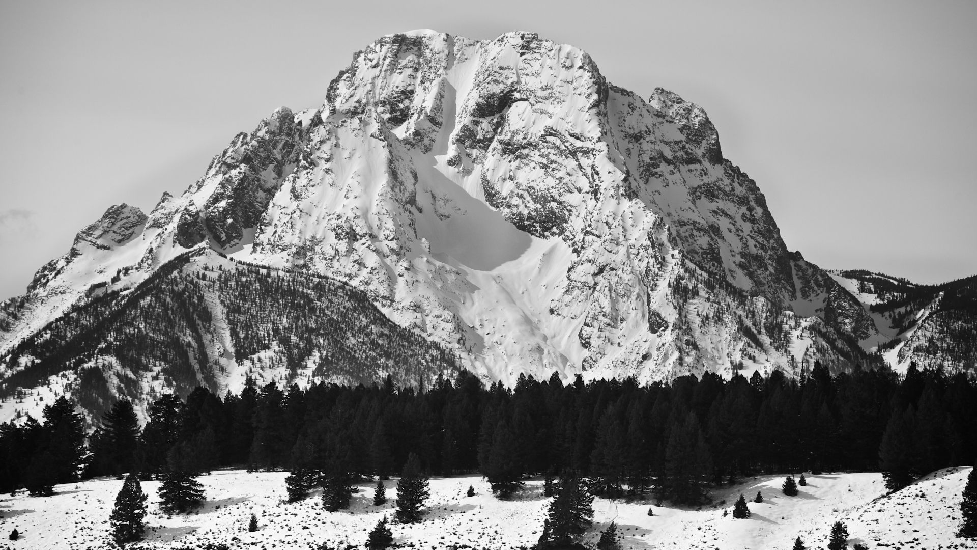 Гора Моран, 5k, 4k, США, Горы, сосны, снег, Mount Moran, 5k, 4k wallpaper, USA, Mountains, pines, snow (horizontal)