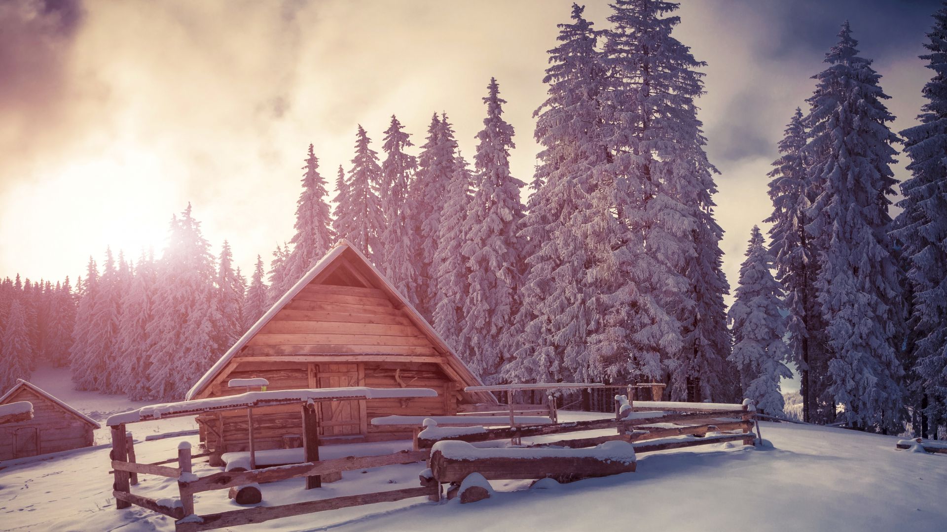Сосны, 4k, HD, снег, закат, дом, Pines, 4k, HD wallpaper, snow, sunset, house (horizontal)