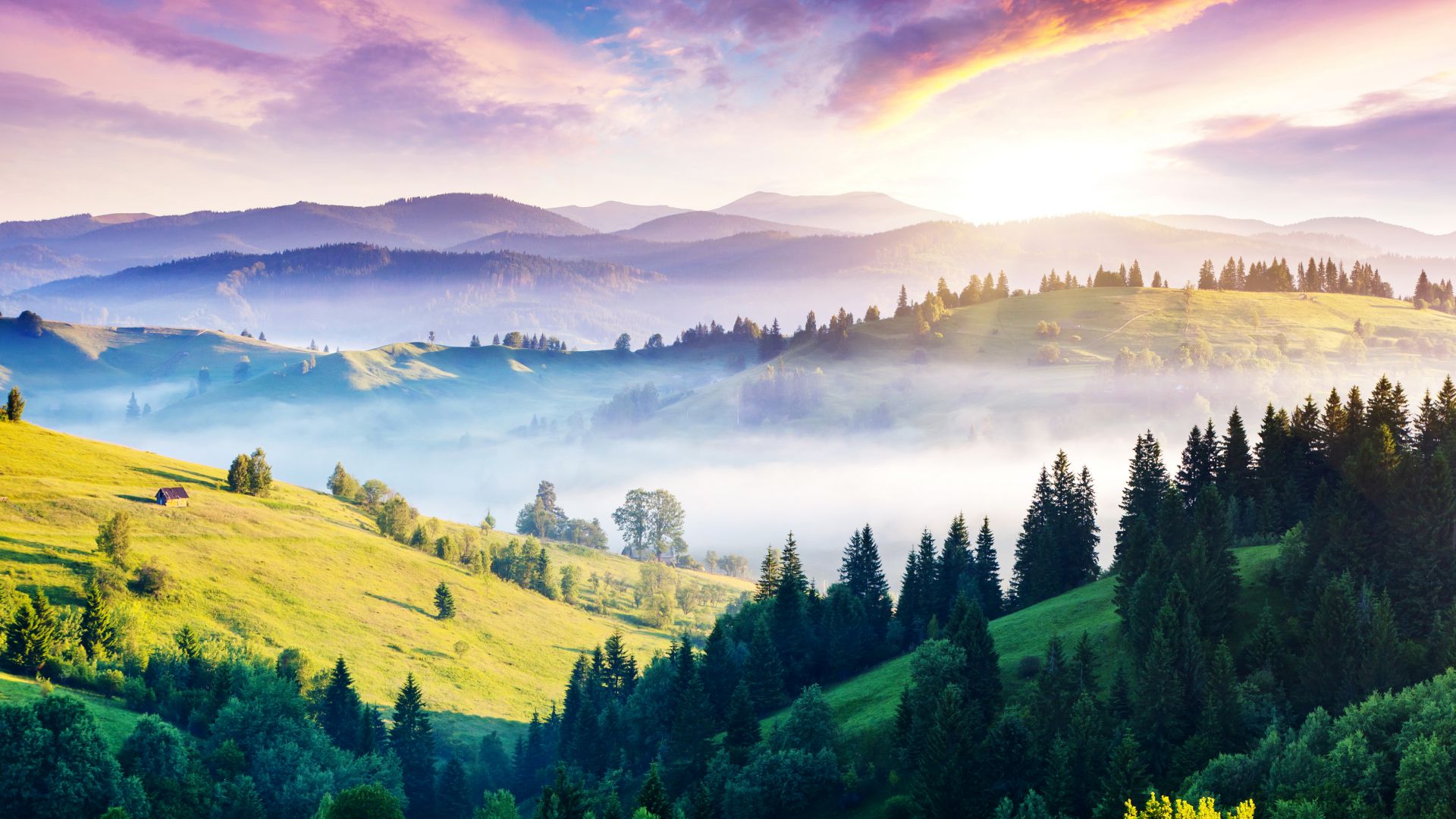 Карпаты, 5k, 4k, сосны, горы, закат, туман, Carpathians, 5k, 4k wallpaper, pines, hills, sunset, fog (horizontal)