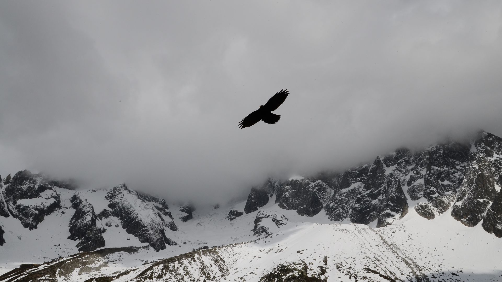 орел, горы, полет, облака, Eagle, mountains, flight, clouds (horizontal)