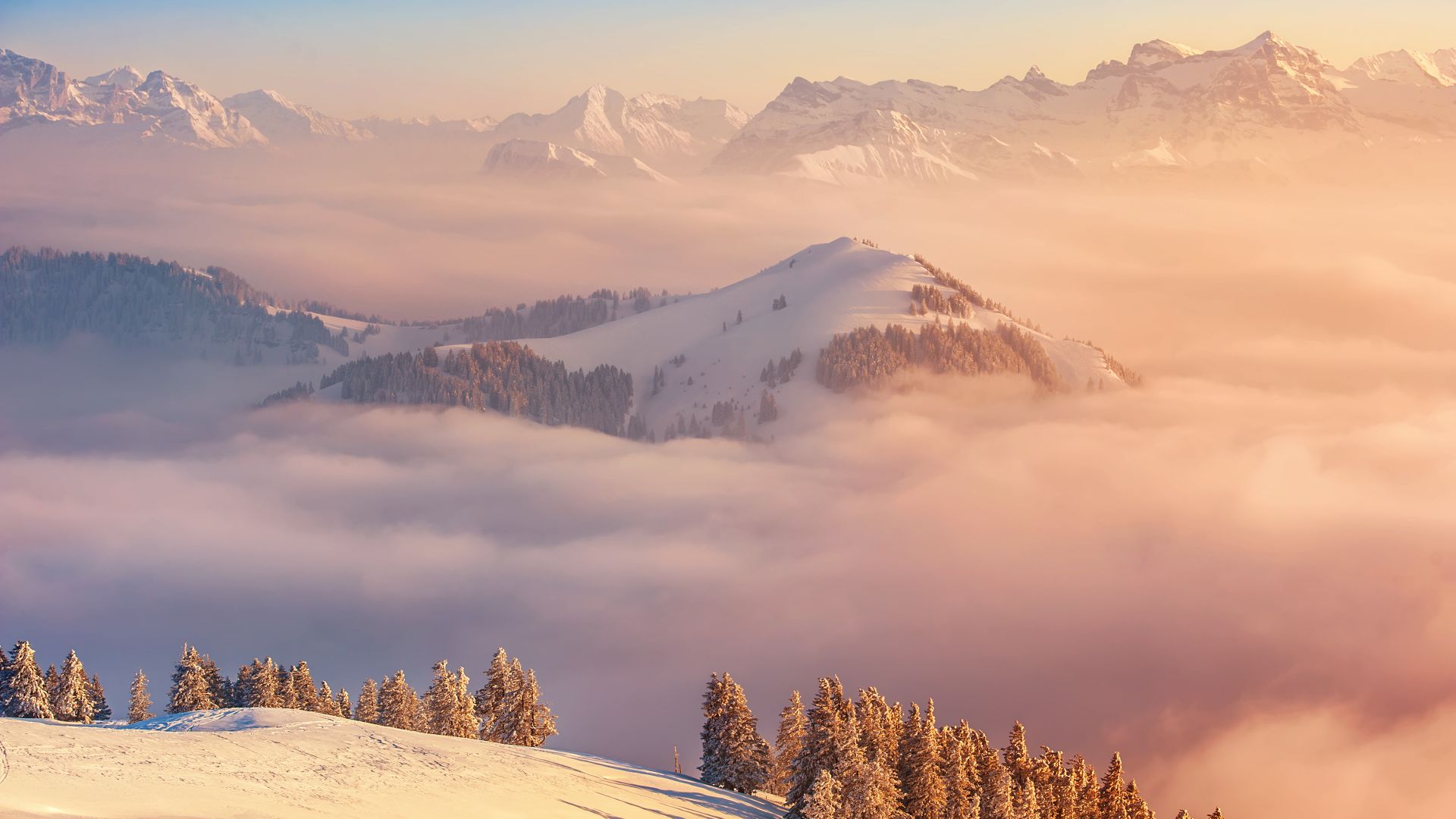 Альпы, 5k, 4k, Швейцария, горы, облака, сосны, Alps, 5k, 4k wallpaper, Switzerland, mountains, clouds, pines (horizontal)