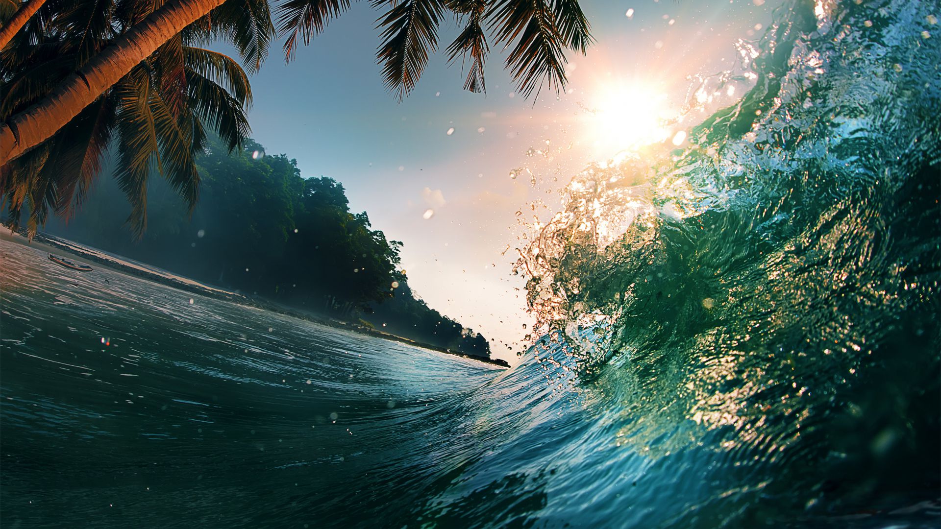 Волна, 5k, 4k, 8k, океан, пальмы, солнце, Wave, 5k, 4k wallpaper, 8k, ocean, palms, sun (horizontal)