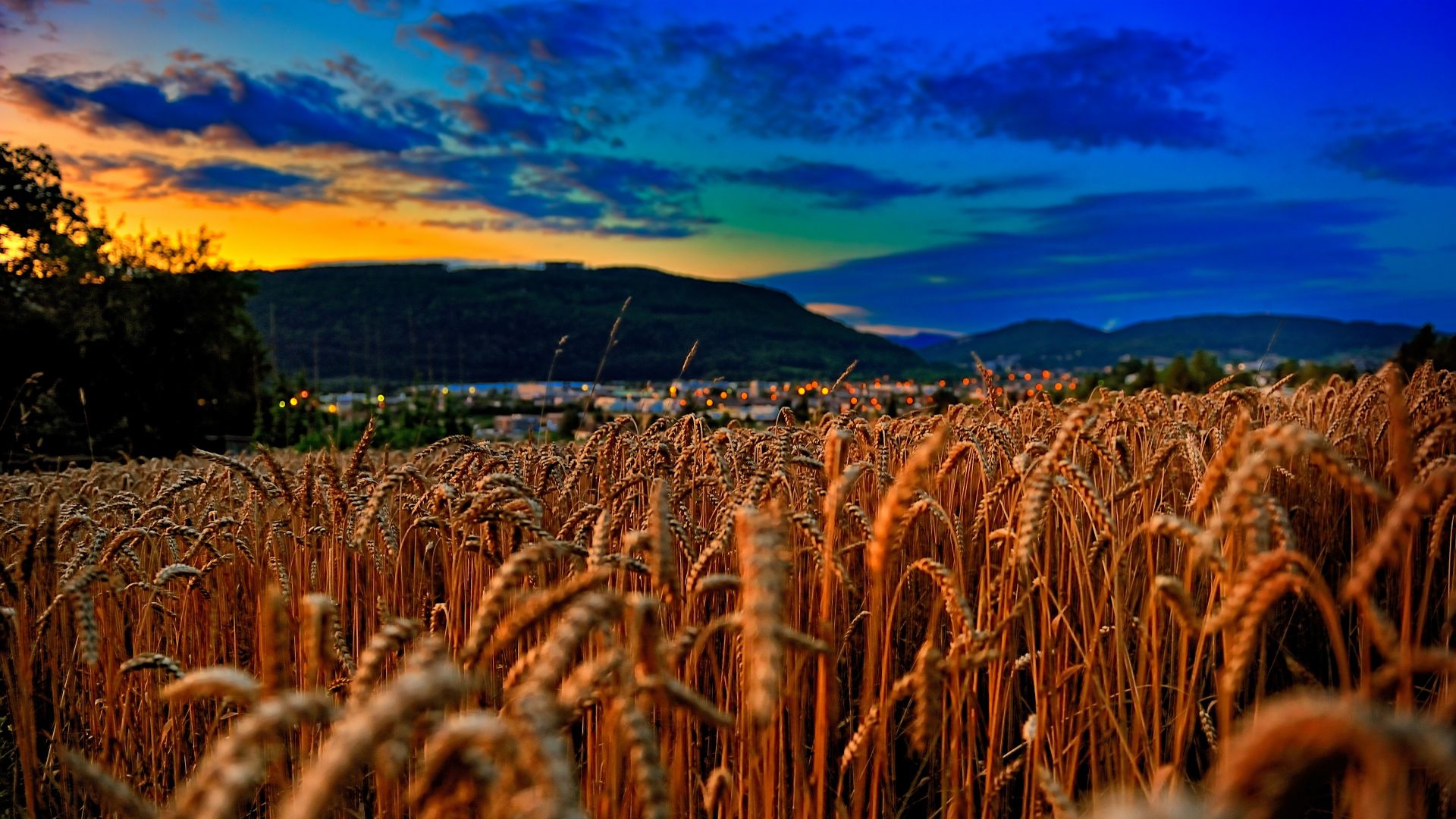 Пшеница, 4k, 5k, поле, закат, облака, холмы, Wheat, 4k, 5k wallpaper, field, sunset, clouds, hills (horizontal)