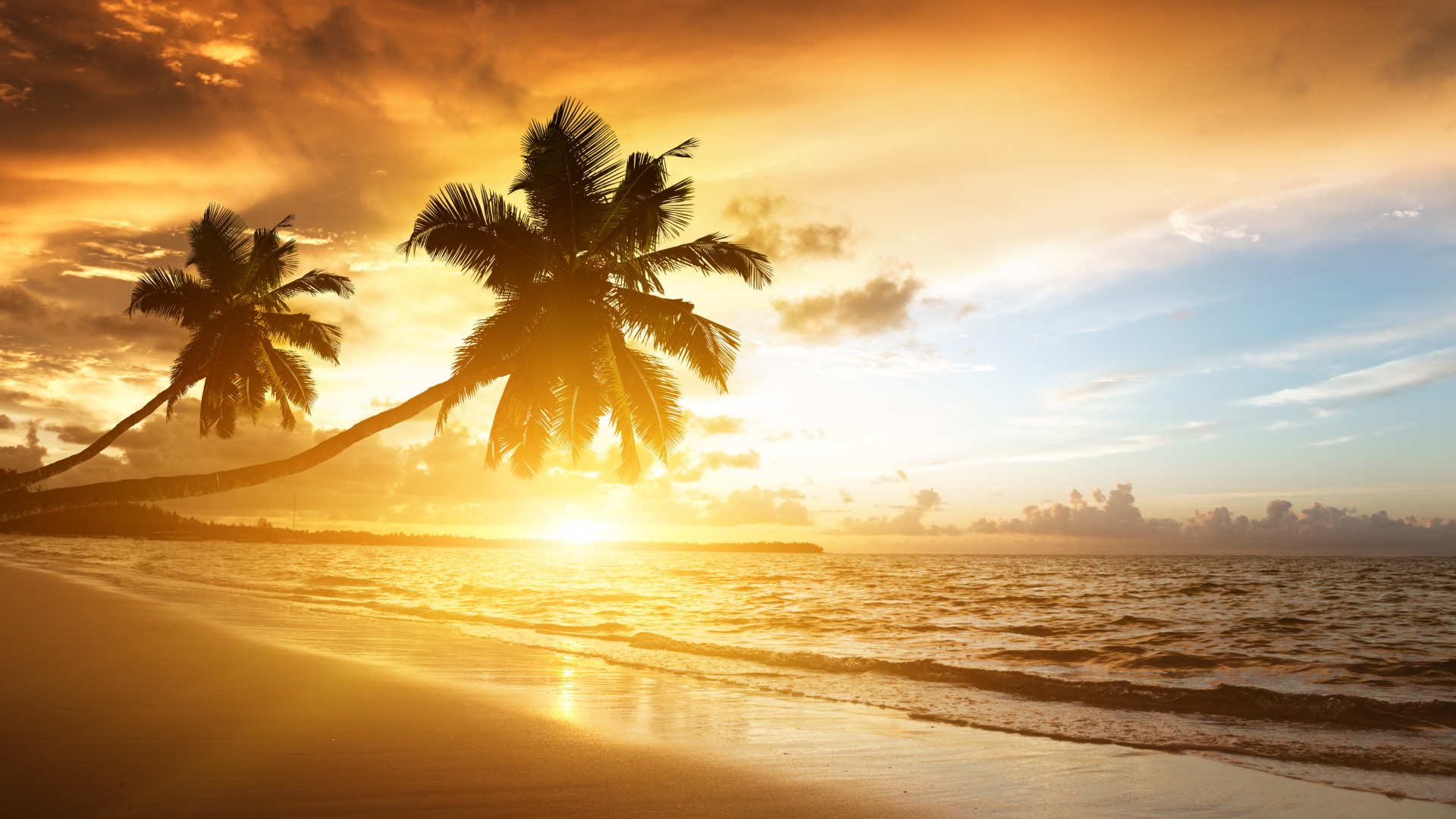 пляж, 5k, 4k, океан, закат, пальмы, отдых, отпуск, путишествие, beach, 5k, 4k wallpaper, ocean, sunset, palm trees, vacation, journey (horizontal)