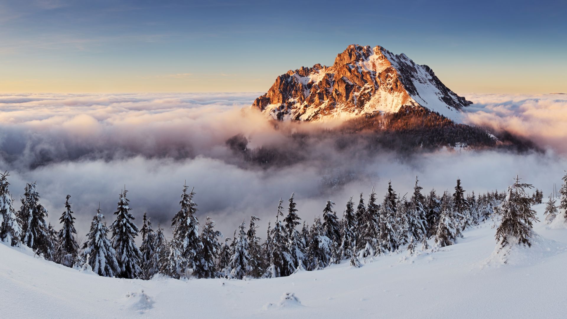 Словакия, 4k, 5k, горы, туман, сосны, снег, Slovakia, 4k, 5k wallpaper, 8k, mountains, fog, pines, snow (horizontal)