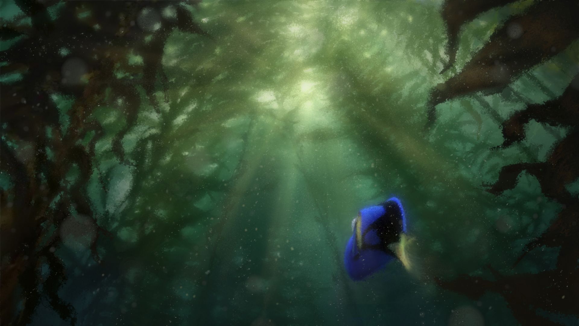 В поисках Дори, немо, рыбка, Пиксар, Анимация, Finding Dory, nemo, fish, Pixar, animation (horizontal)