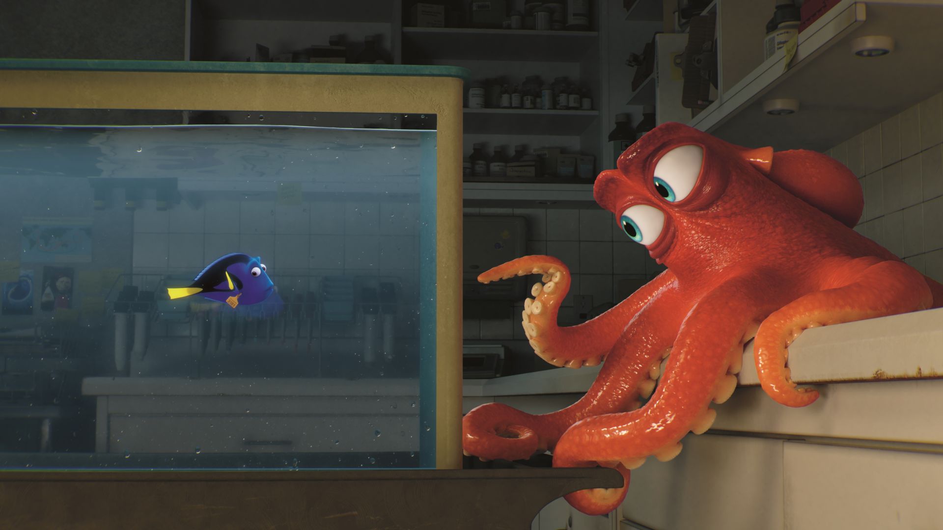 В поисках Дори, немо, рыбка, осьминог, Пиксар, Анимация, Finding Dory, nemo, fish, Pixar, animation (horizontal)