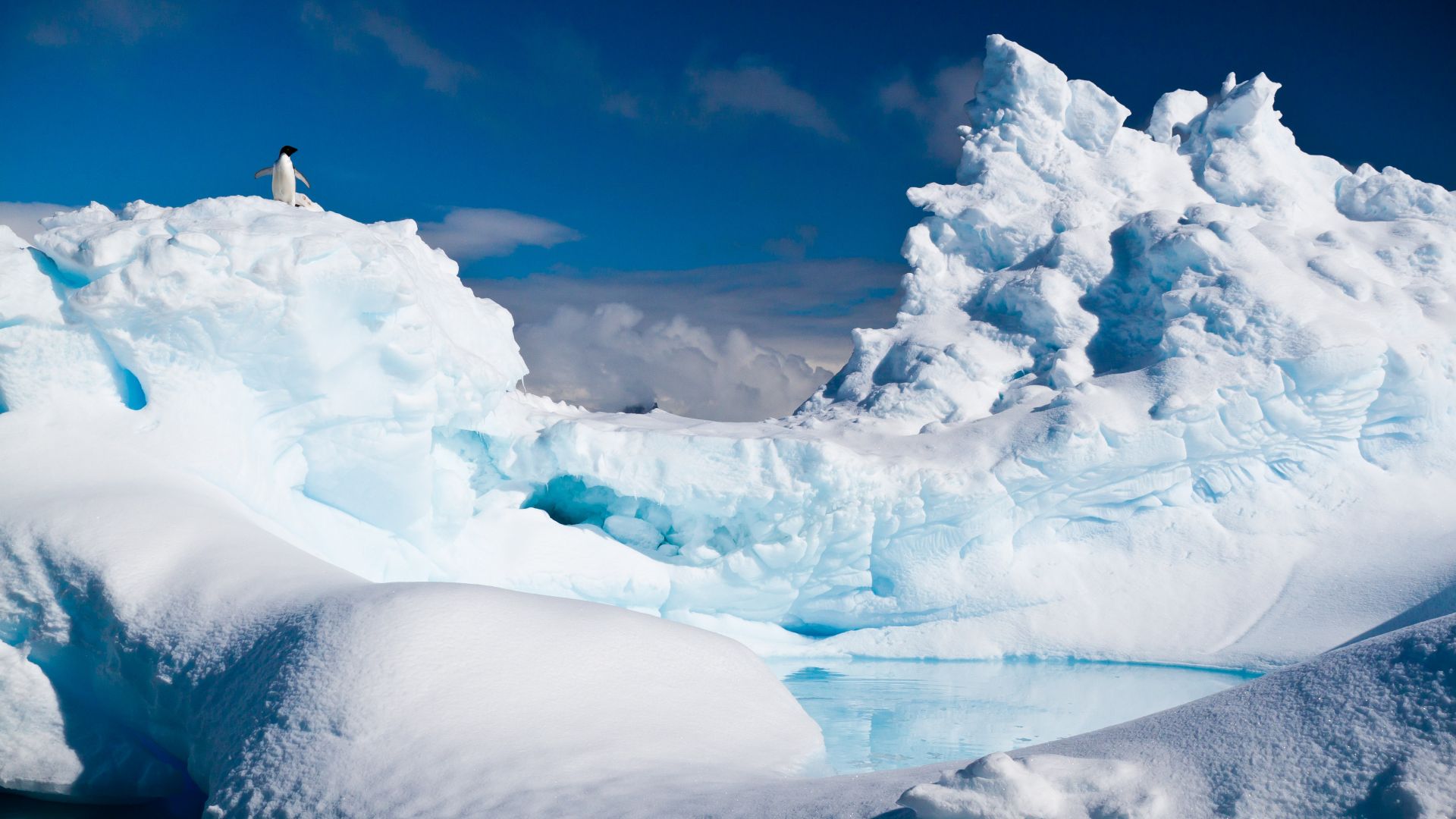 Антарктида, пингвин, айсберг, снег, Antarctica, penguin, iceberg, snow (horizontal)