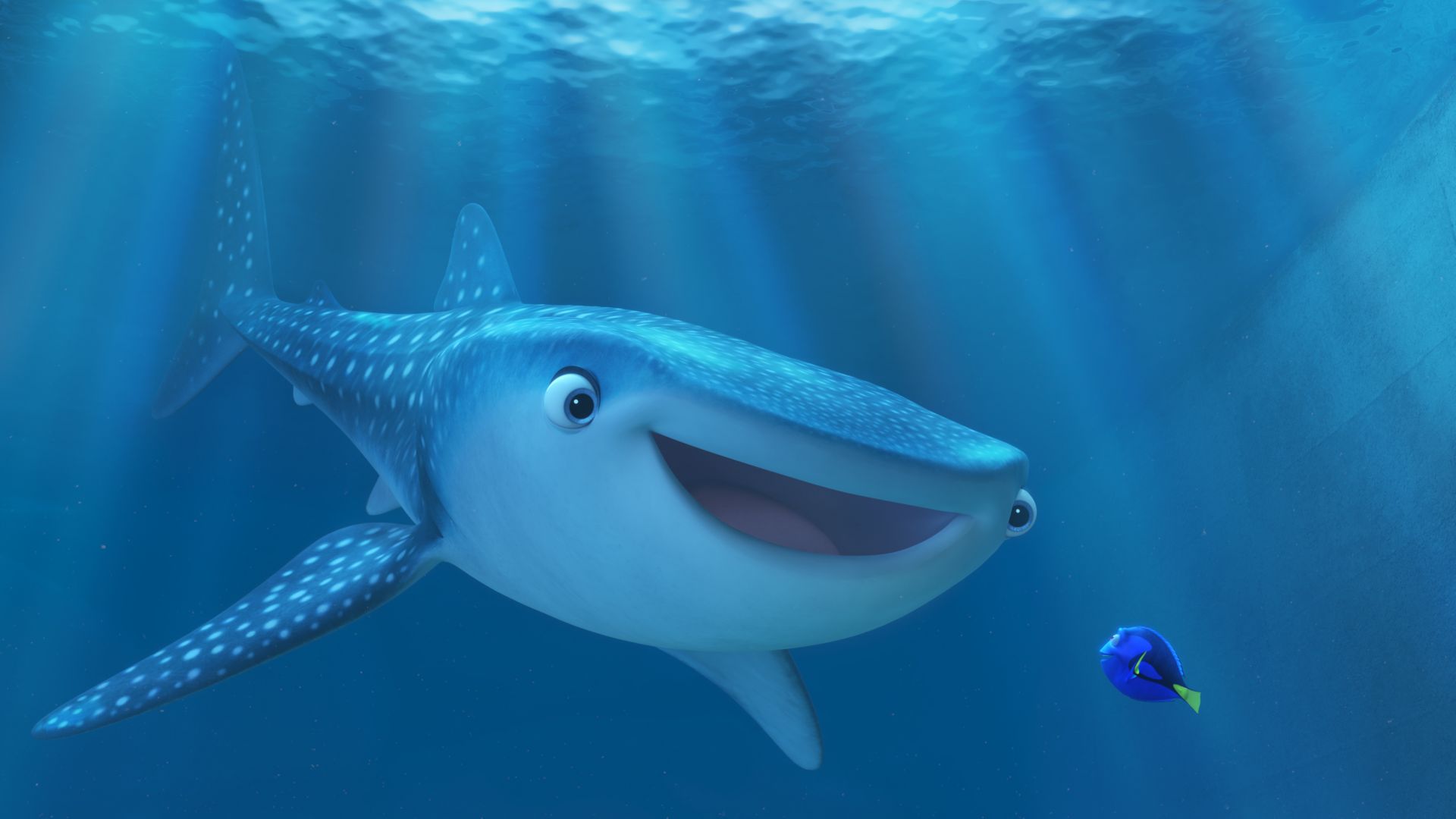В поисках Дори, немо, акула, рыбка, Пиксар, Анимация, Finding Dory, nemo, shark, fish, Pixar, animation (horizontal)