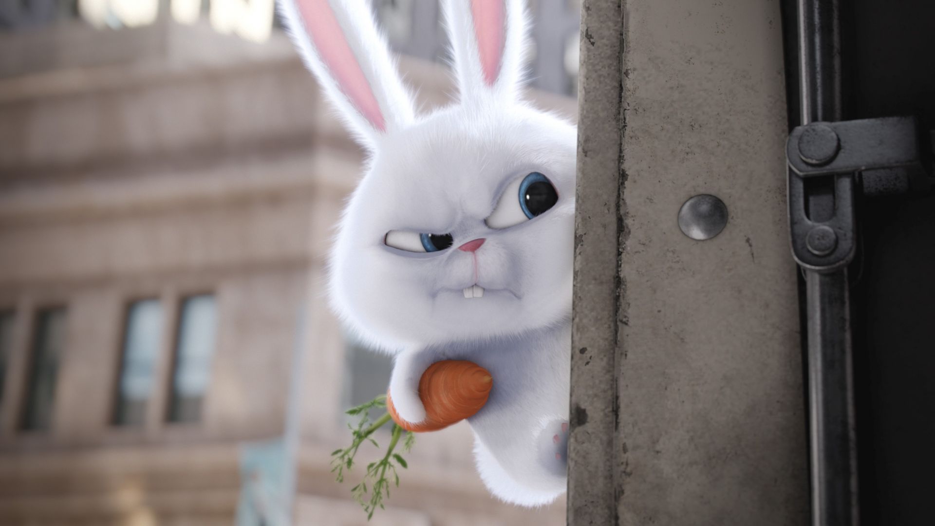 Тайная жизнь домашних животных, кролик, Лучшие мультфильмы 2016, The Secret Life of Pets, rabbit, Best Animation Movies of 2016, cartoon (horizontal)