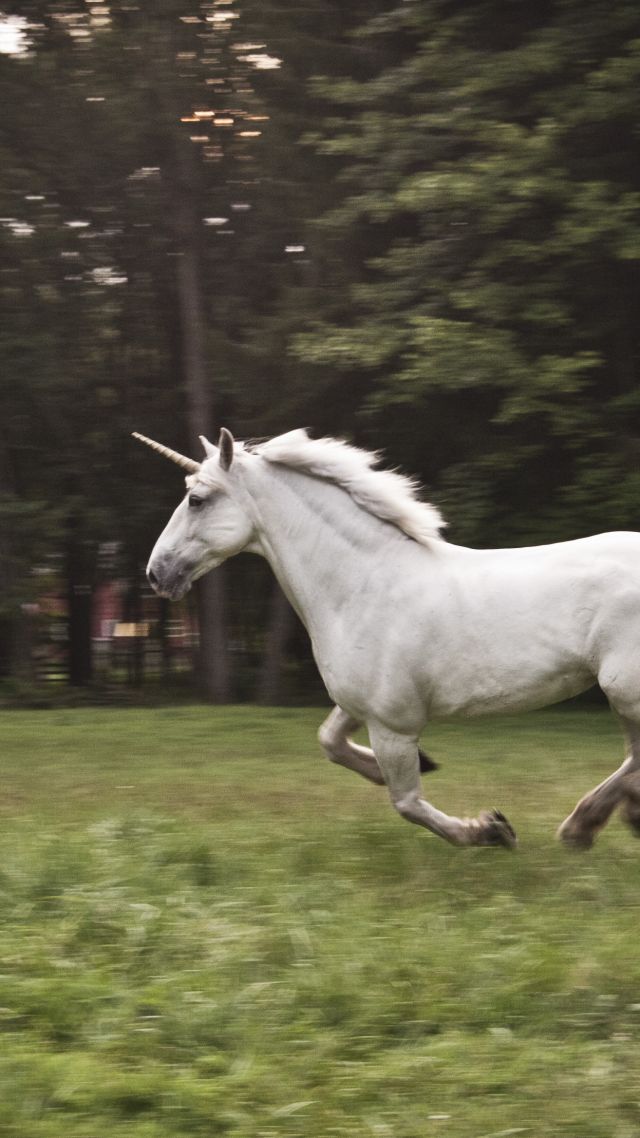 Единорог, лошадь, природа, белый, unicorn, horse, nature, white (vertical)