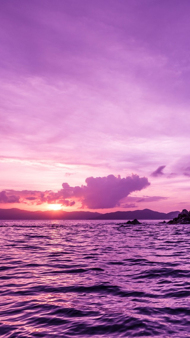 Пеликаны, острова, закат, пурпурный, Pelican island, sunset, purple (vertical)