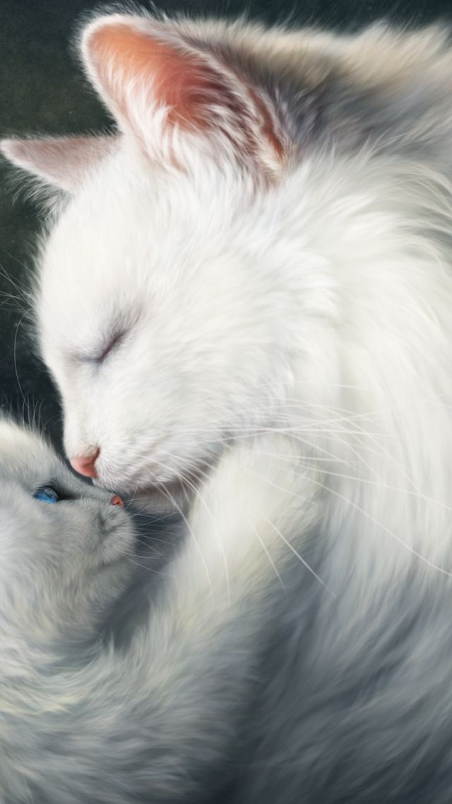 фото любовь, коты, love image, cats, HD (vertical)