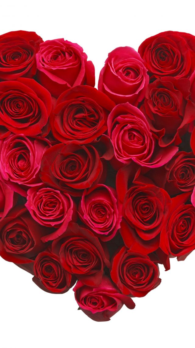 фото любовь, сердце, цвеьы, love image, heart, 5k, rose, flowers (vertical)