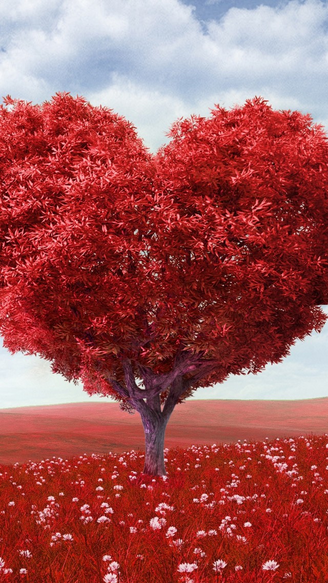 фото любовь, сердце, love image, heart, 4k, tree (vertical)