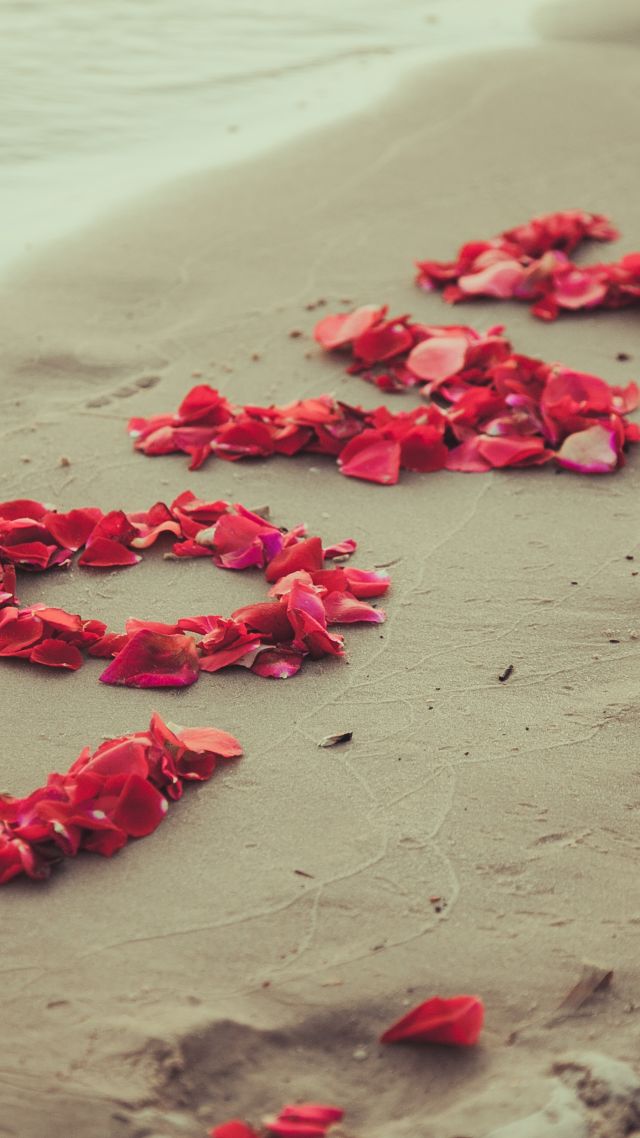 фото любовь, цветы, love image, heart, 5k, beach, sea, flowers (vertical)