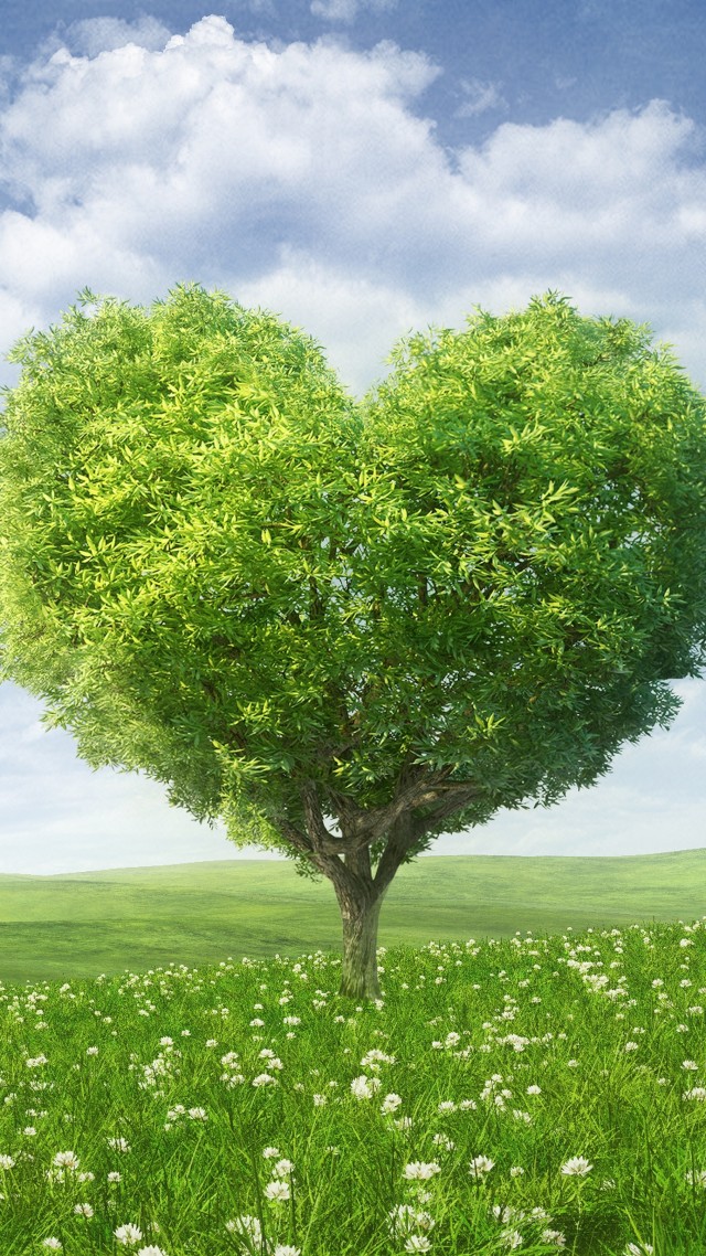 фото любовь, сердце, love image, heart, tree, 5k (vertical)